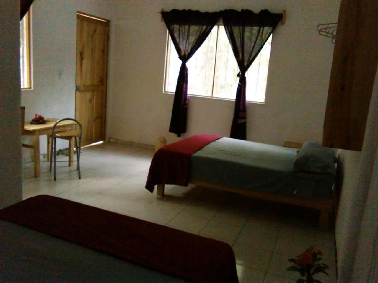 Photo 6