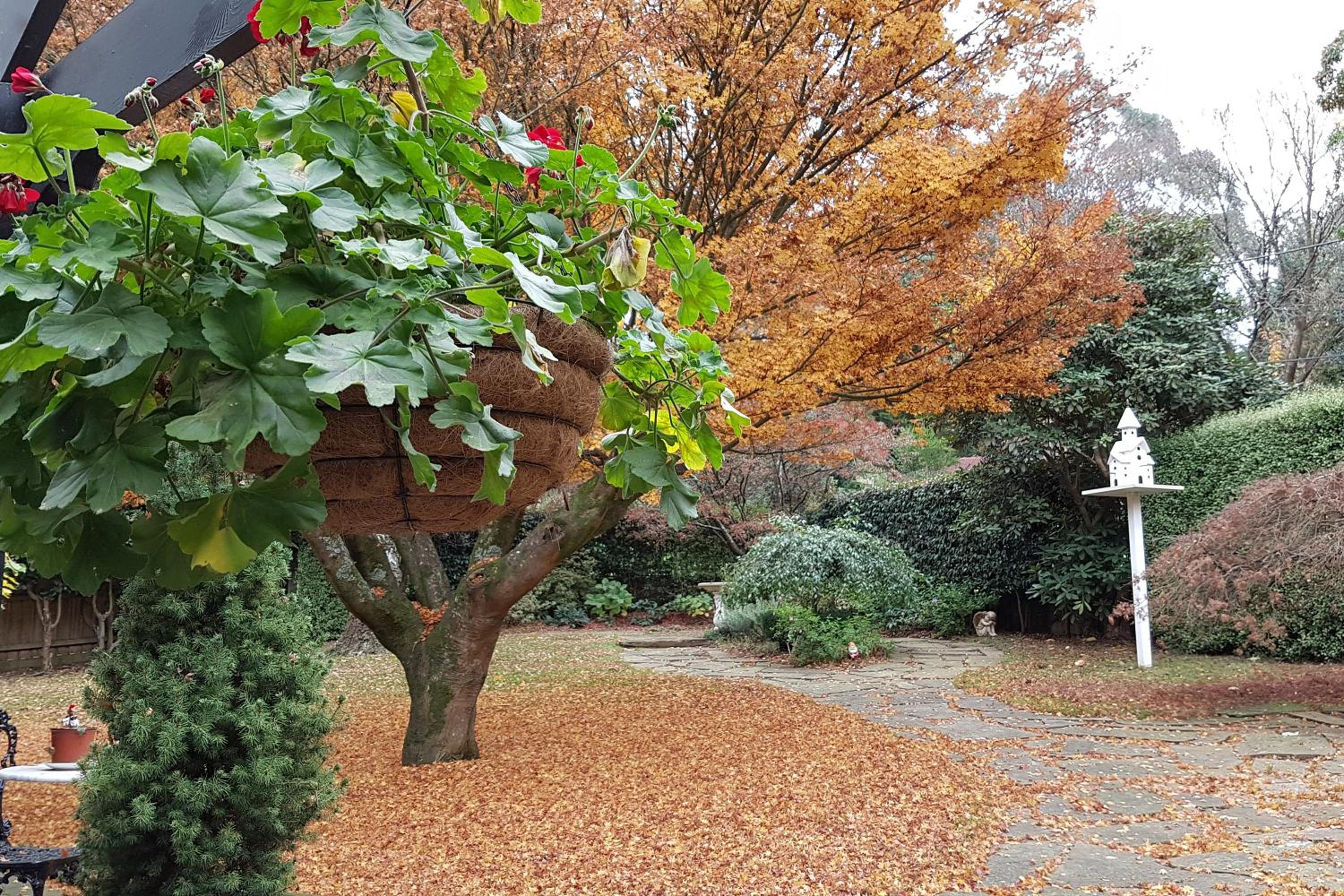 Villa d'Amour