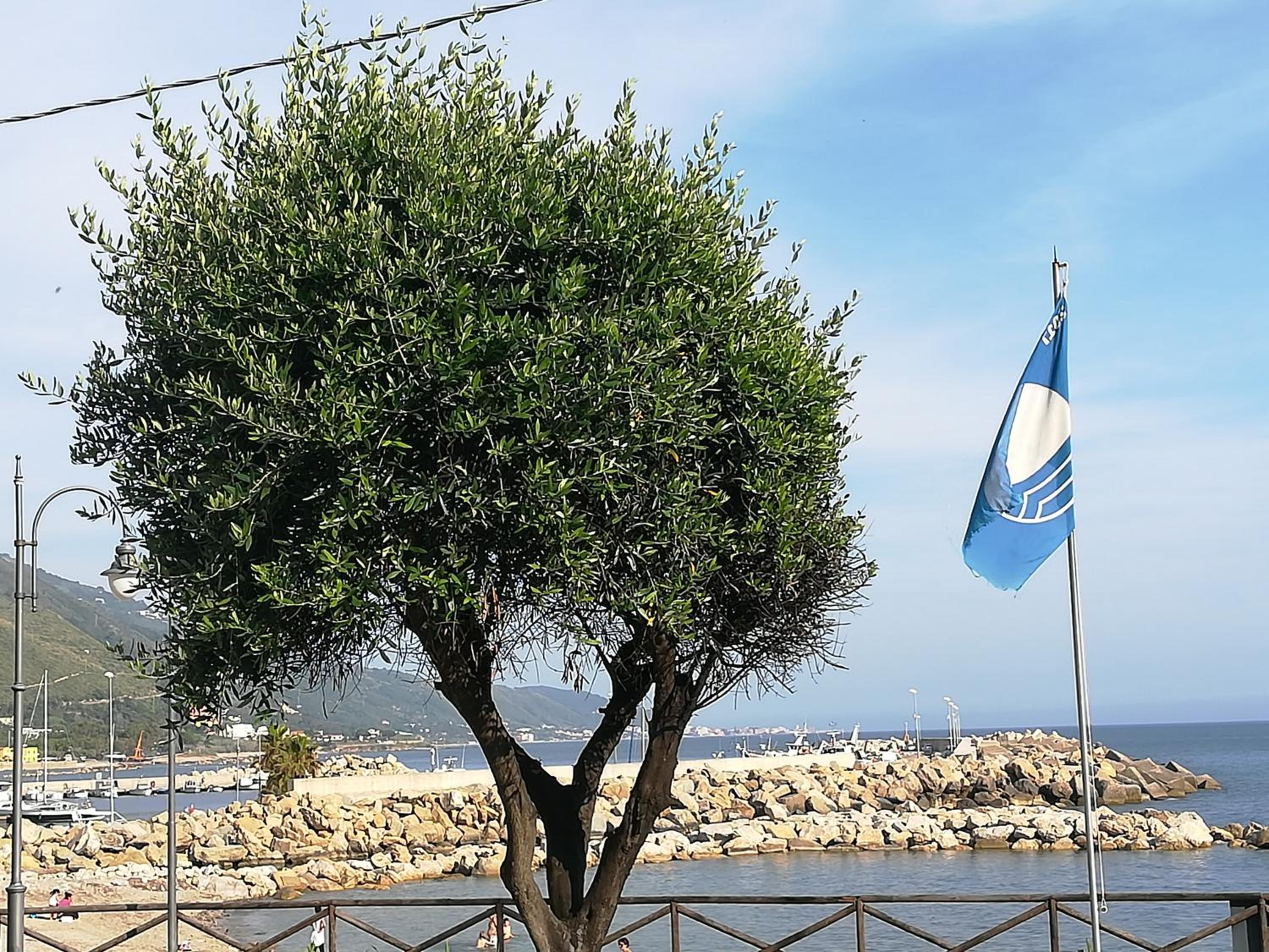 Casa Marinella