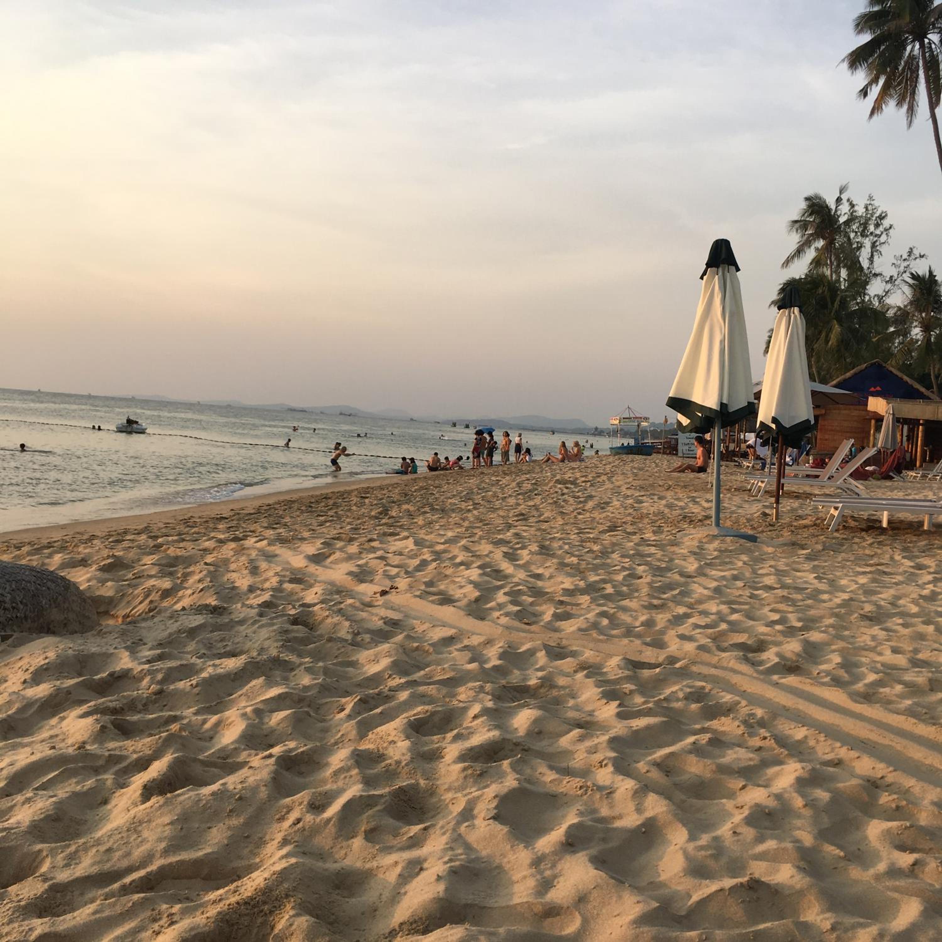 The Palm Tree Guesthouse