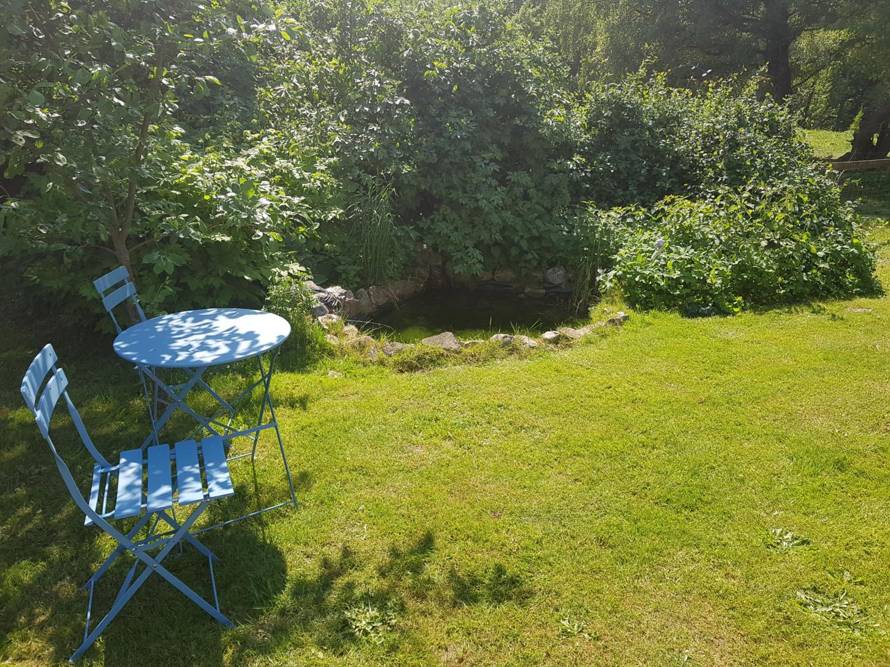Photo 21