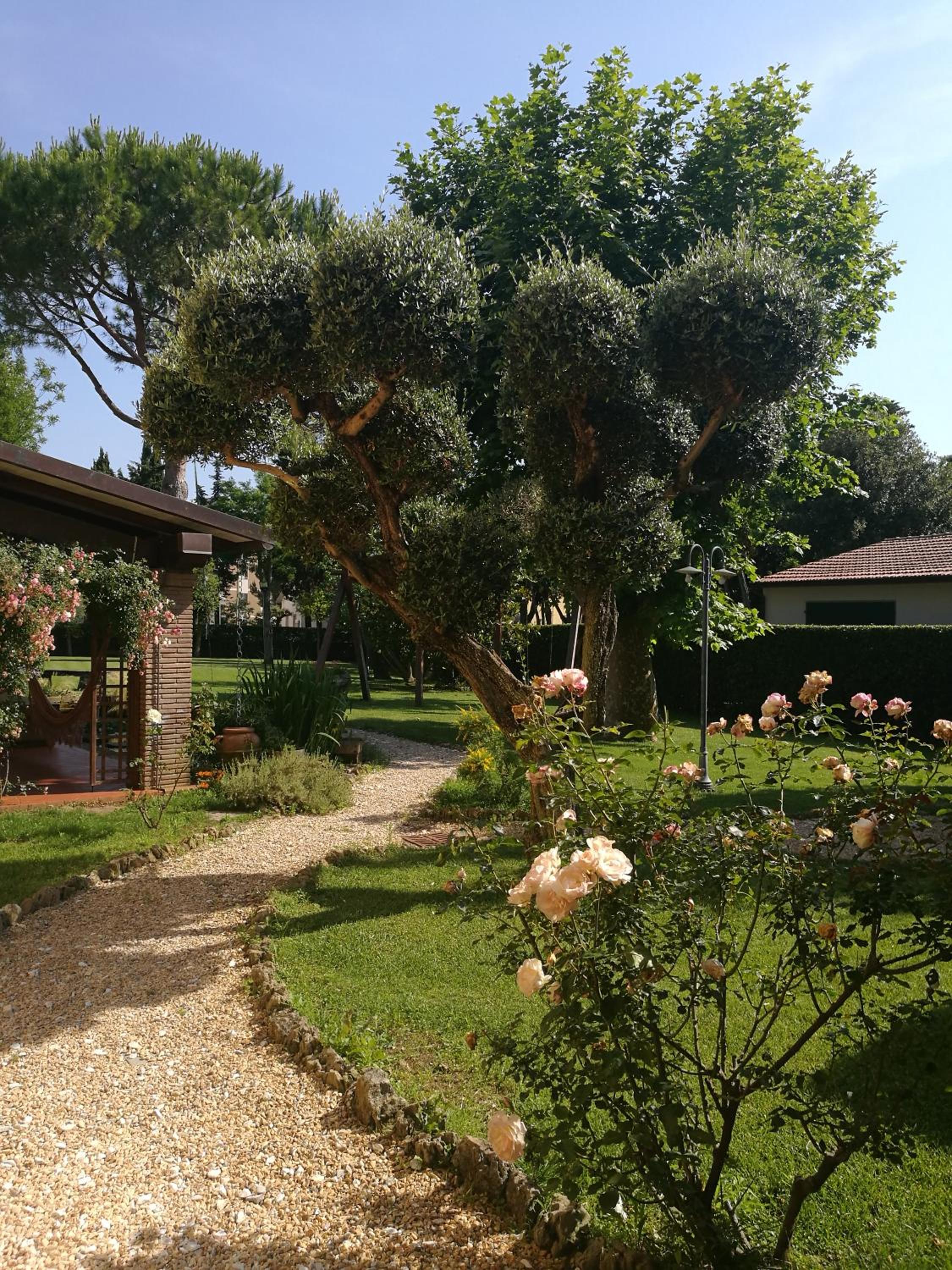 Casale la Crocetta, photo 38