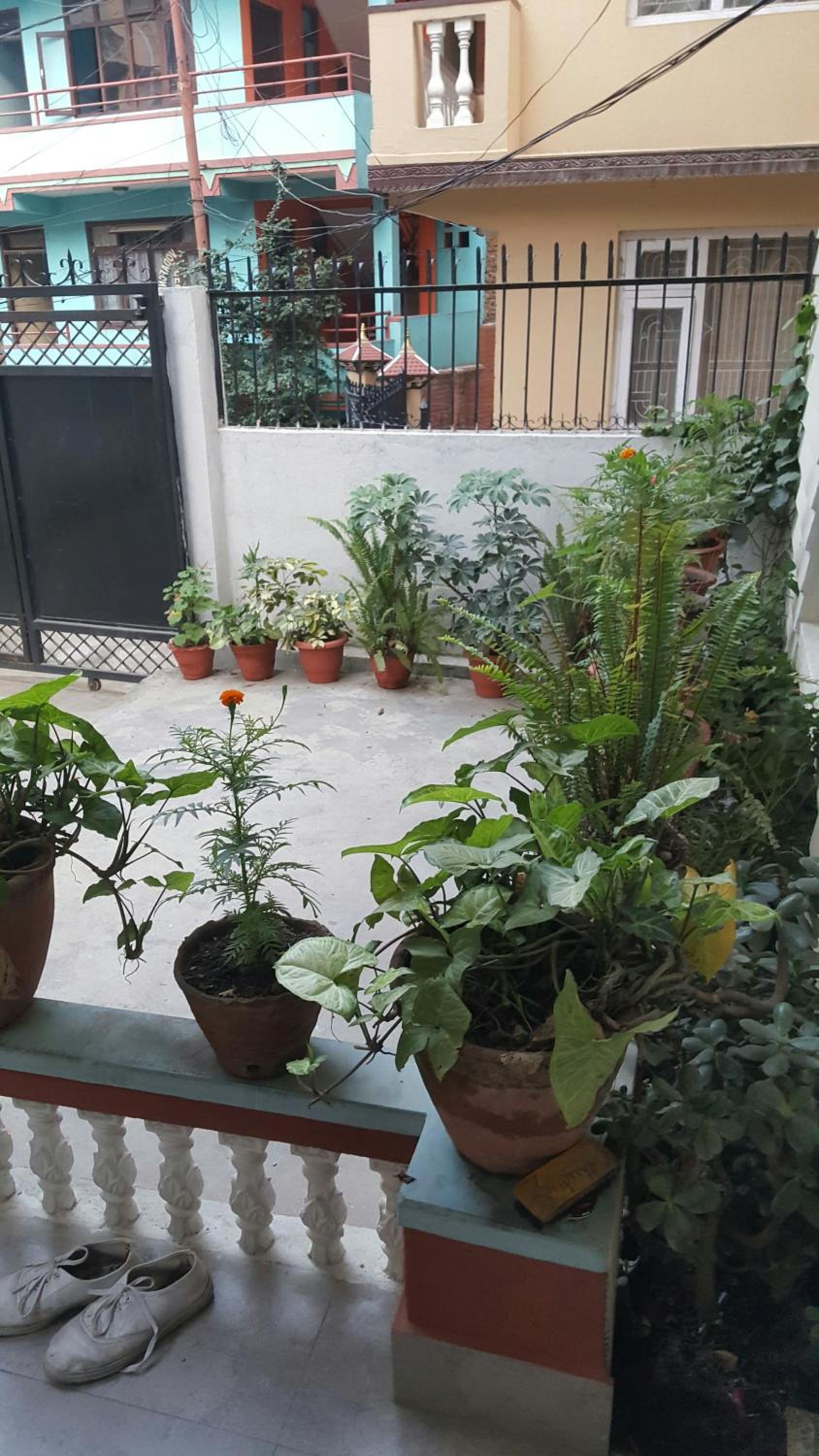 BnB Royal Tourist House Near Tourist Bus Station in Thamel