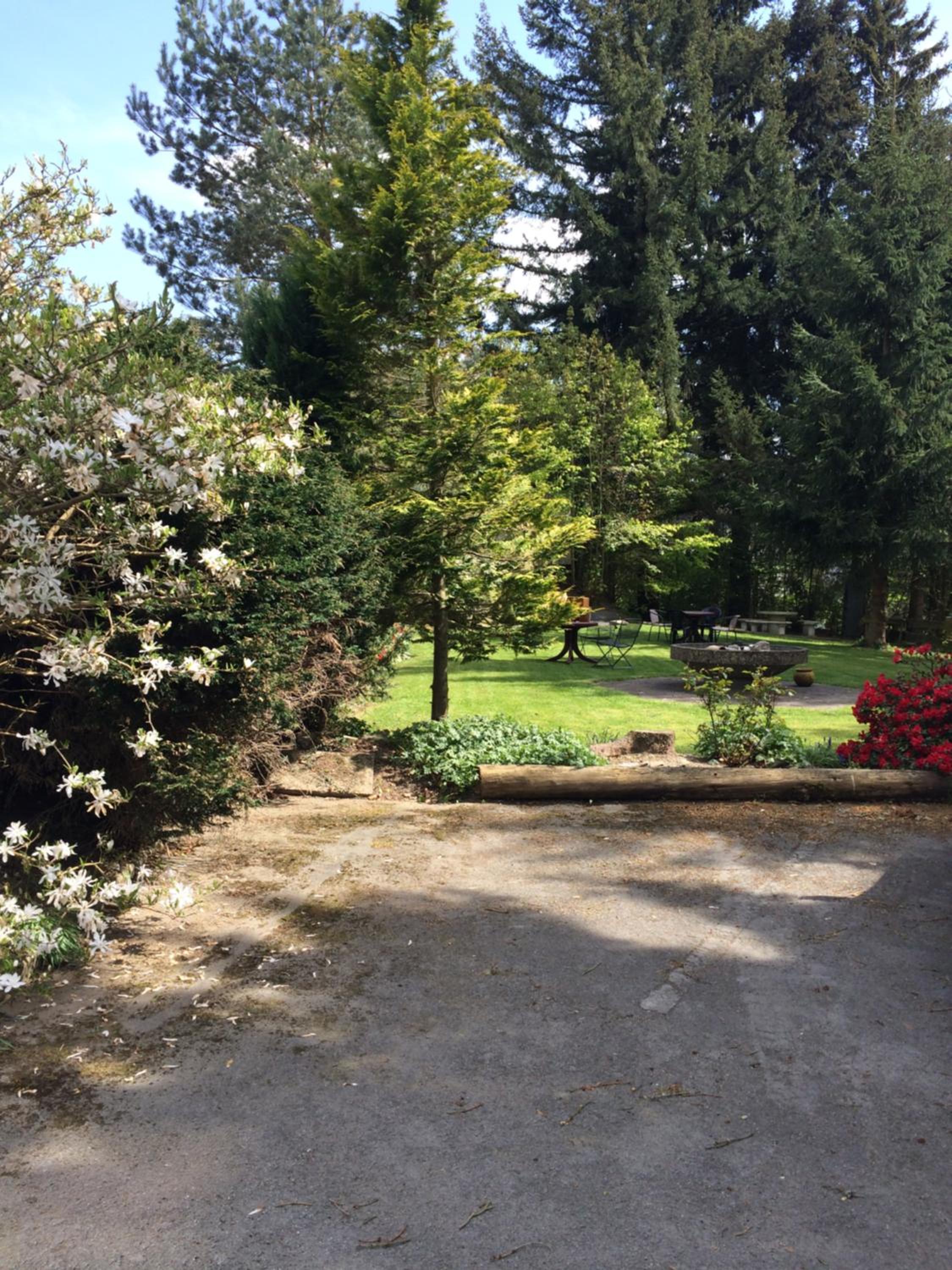 Pension Haus Am Hirschsprung view 3