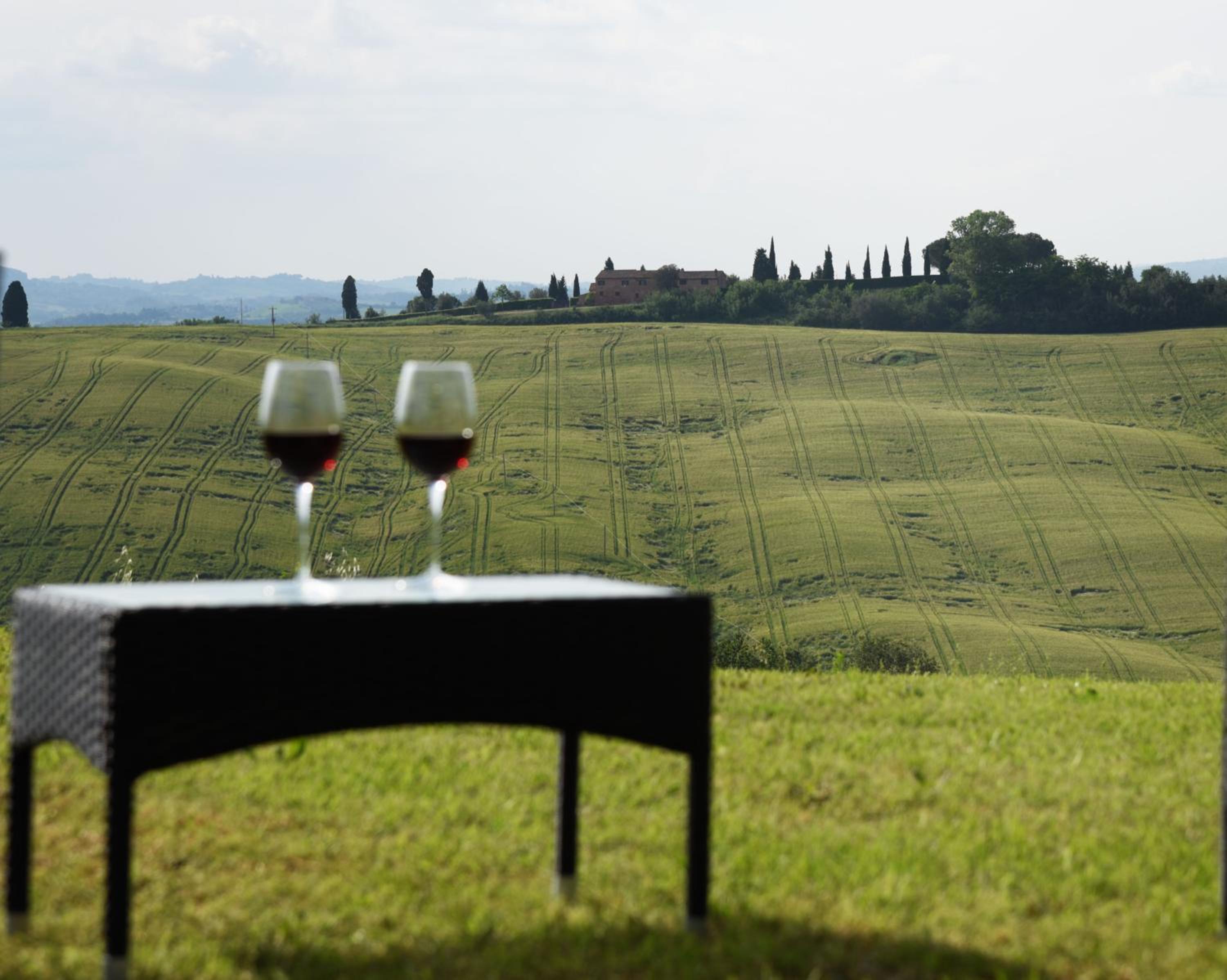 Podere il Granaio - Crete Senesi - Tuscany view 3