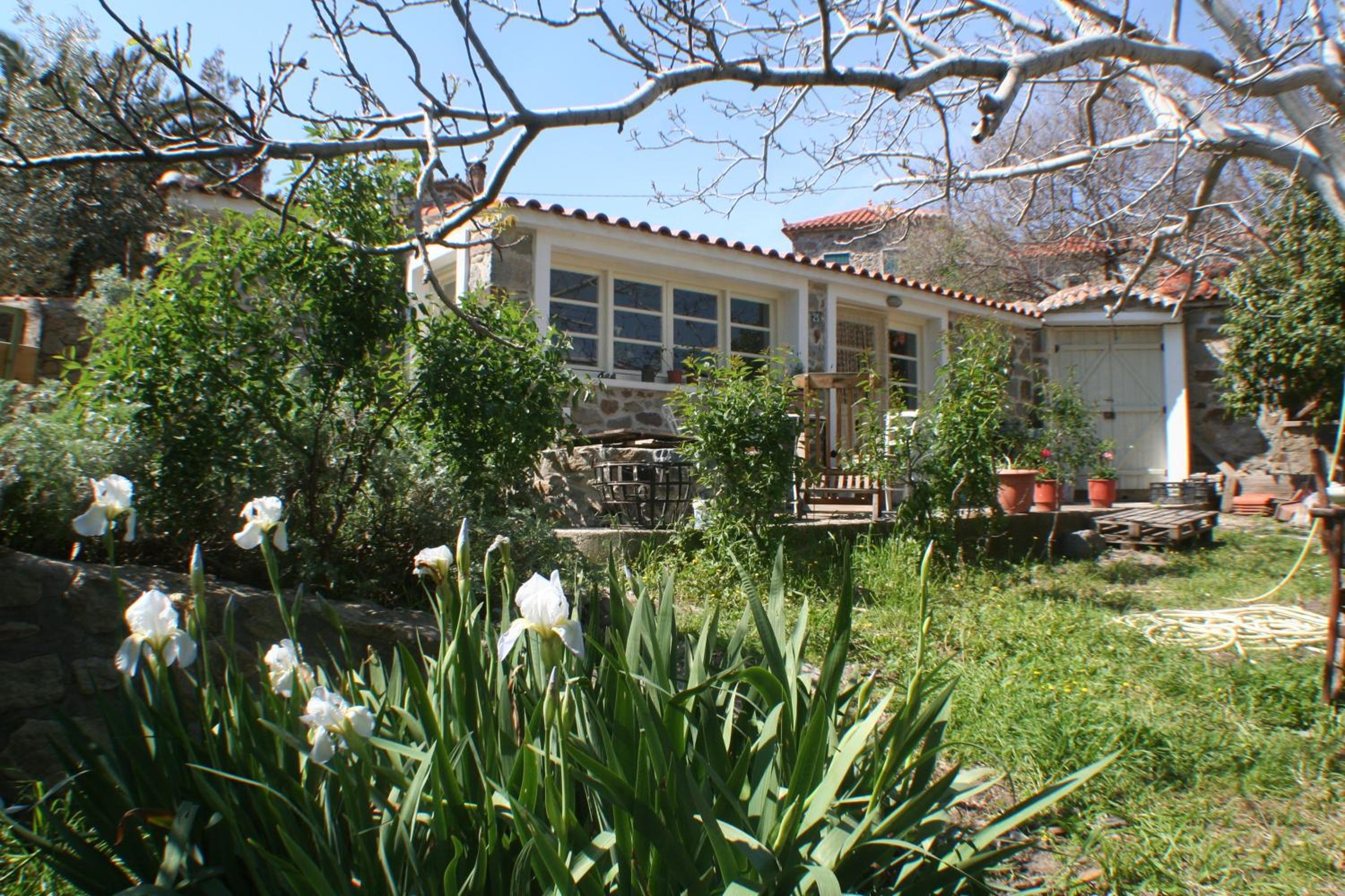 Arcadia Guesthouse view 2