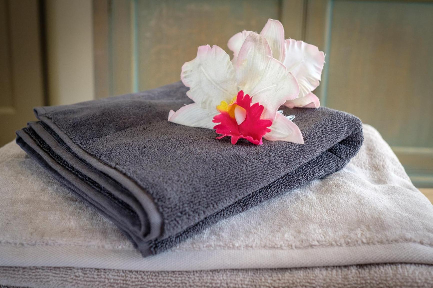 ZENte Wellness beleving
