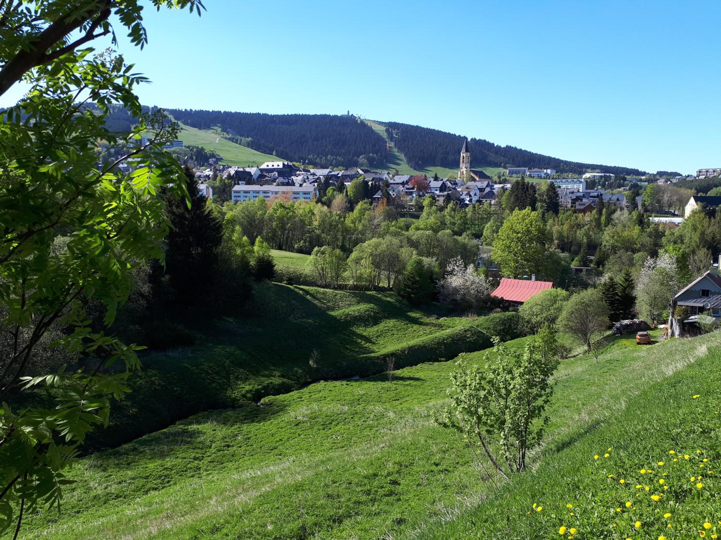 Ferienwohnung Aronia Garten