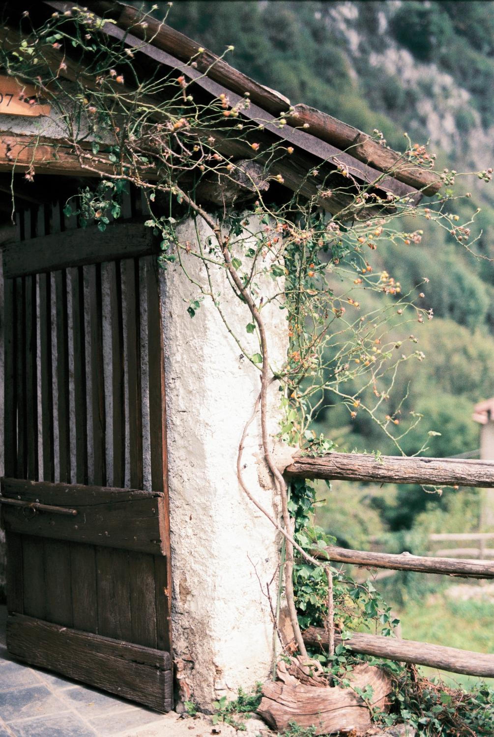 B&B Rocca di Bajedo