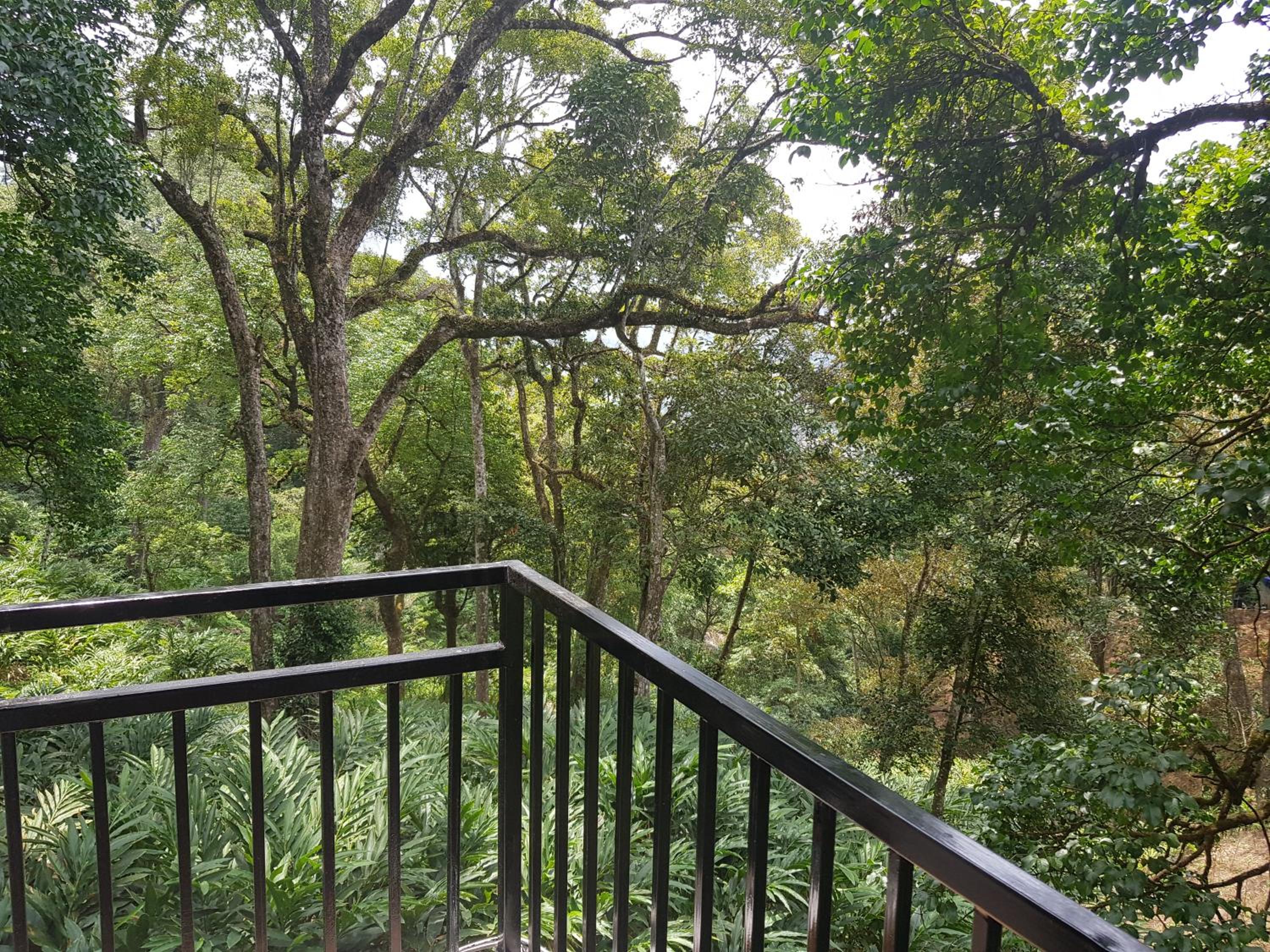 Spice Jungle Resort