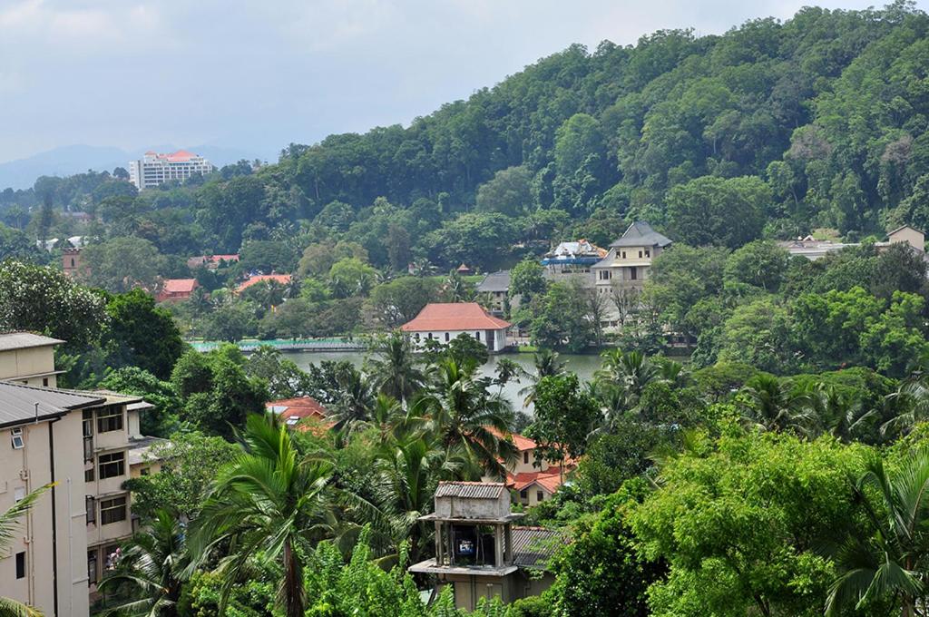 Highest View