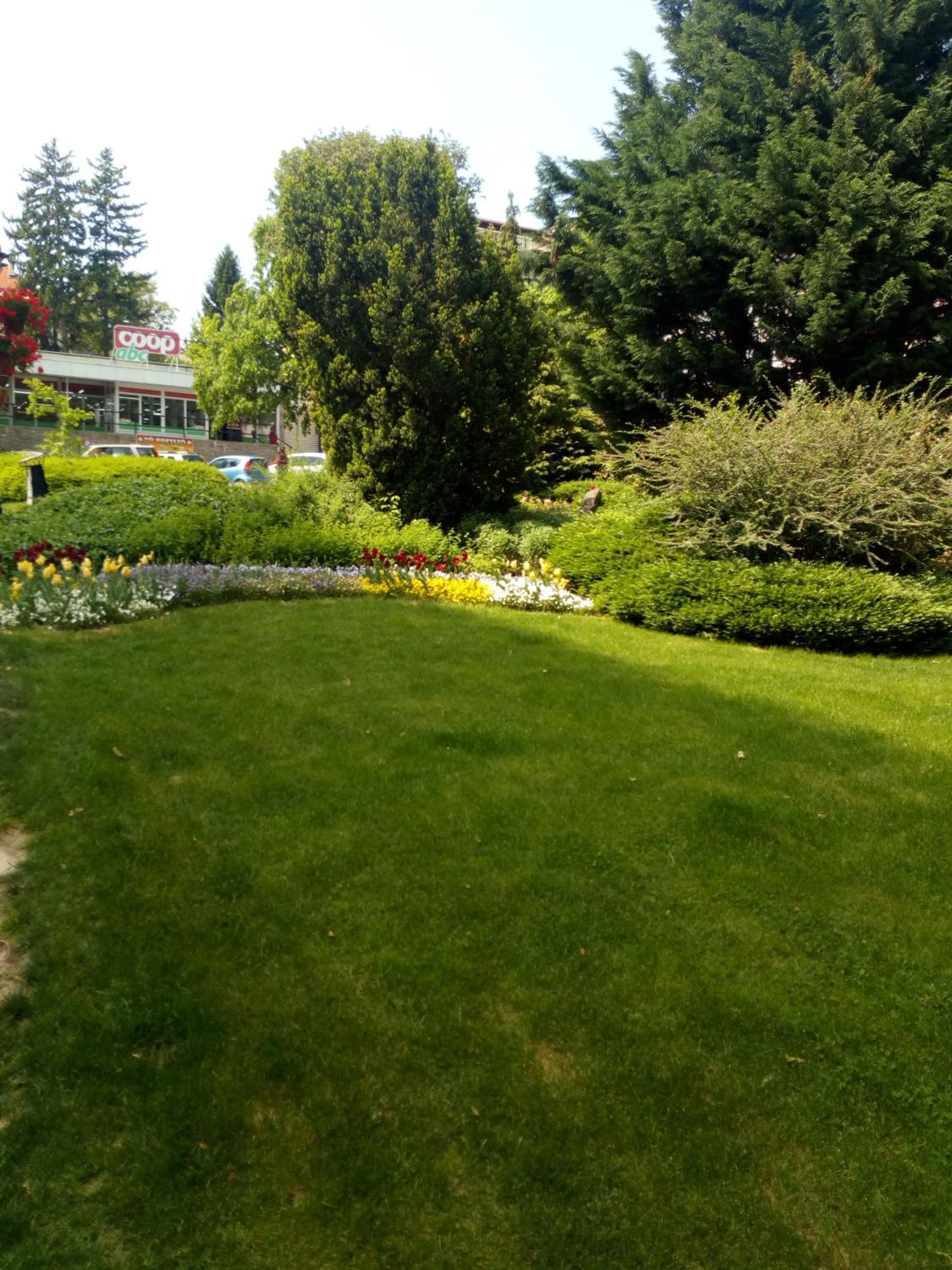 Photo 11