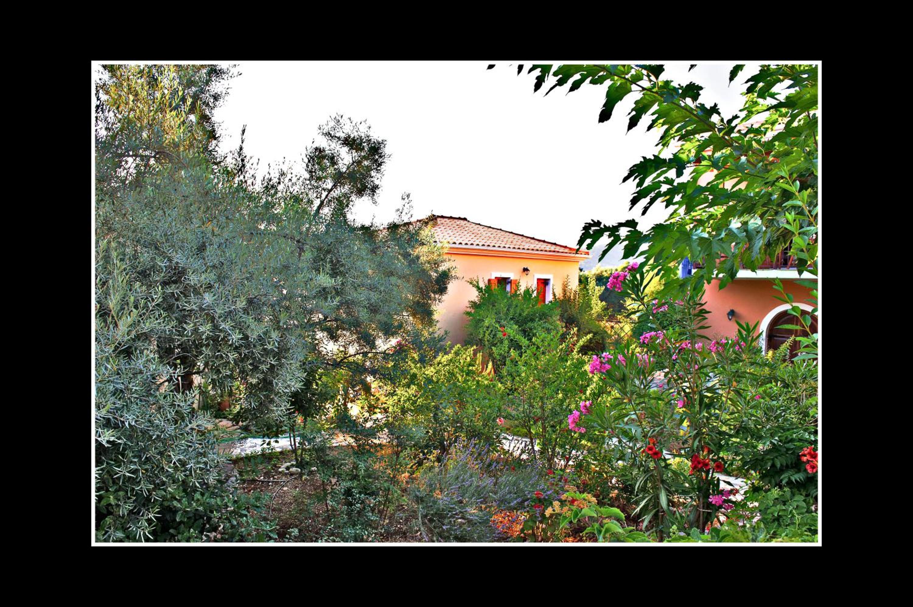 Porto Katsiki Guest Houses view 5
