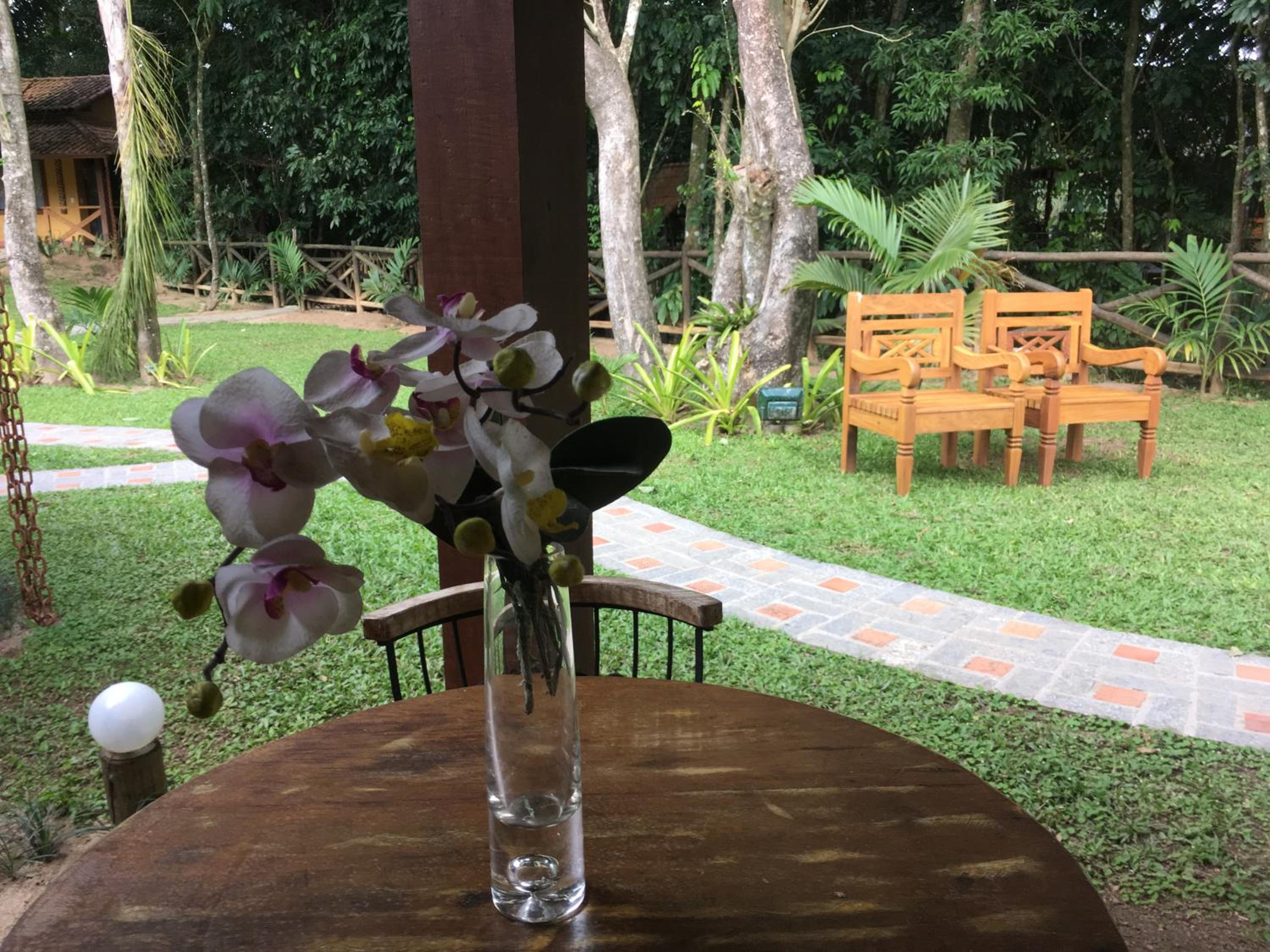 Aldeia do Bambu Camping e Chalés