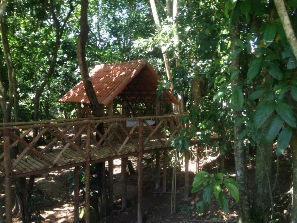 Aldeia do Bambu Camping e Chalés
