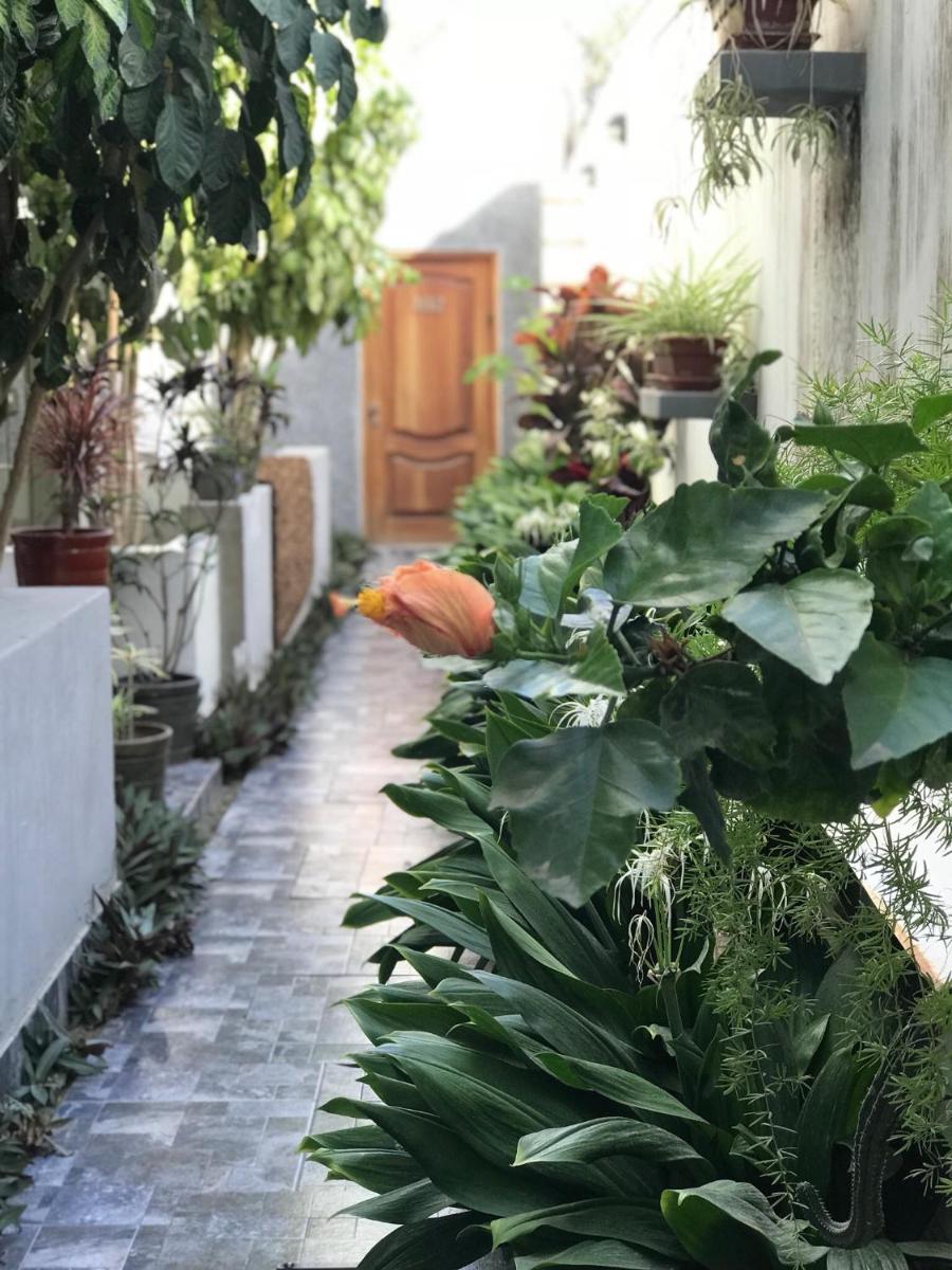 Garden House Piura view 4