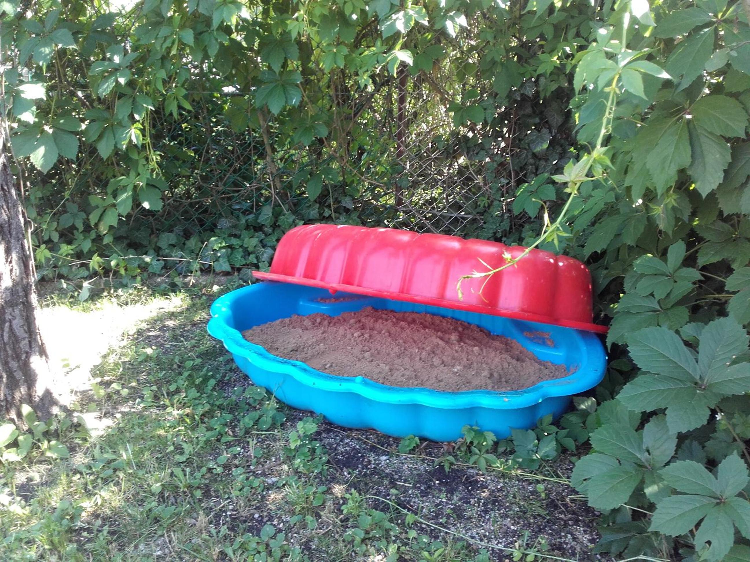 Photo 16