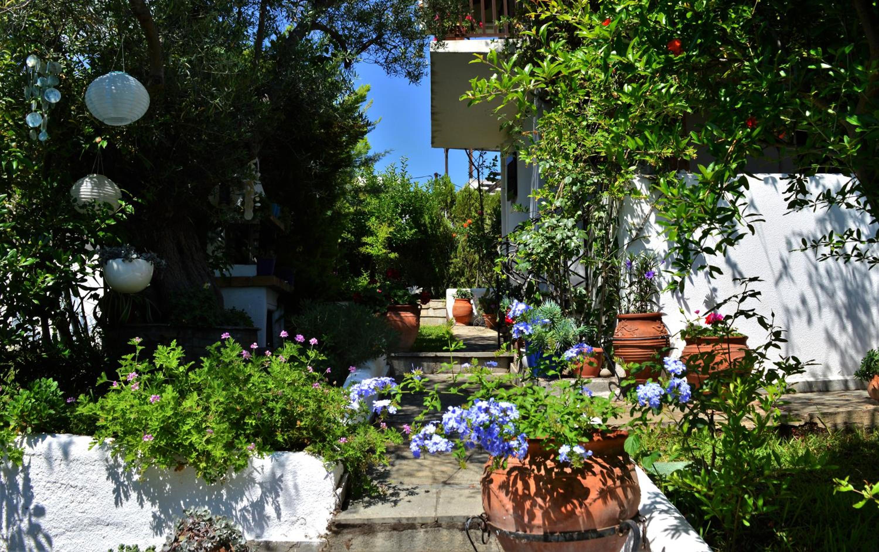 Sonia's House with Garden view 4
