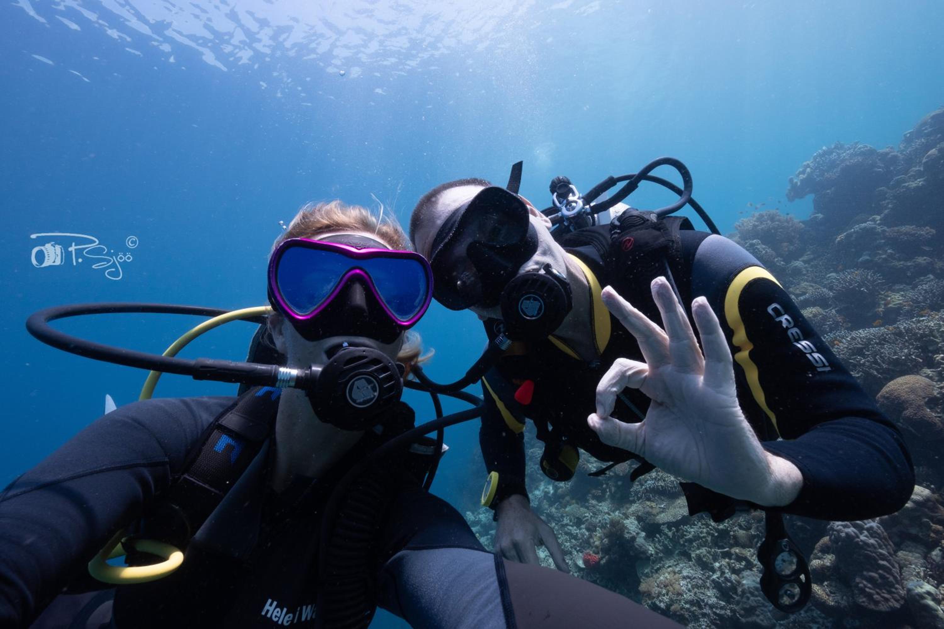 Divers Lodge Moalboal view 2