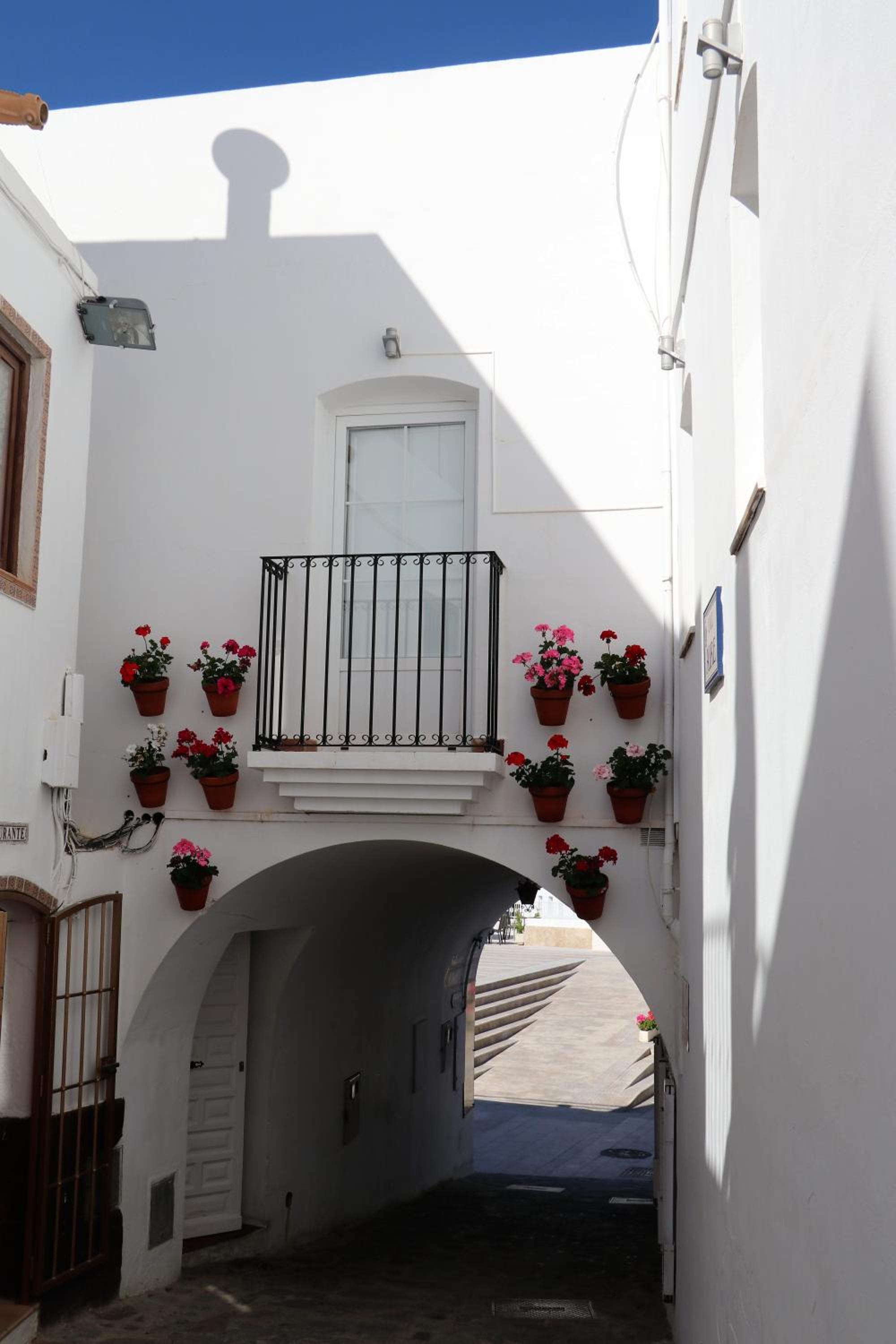 Hostal Arco Plaza view 4