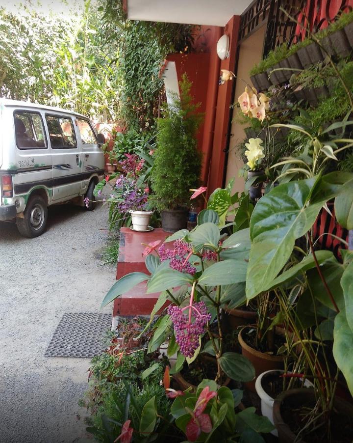 Photo 41