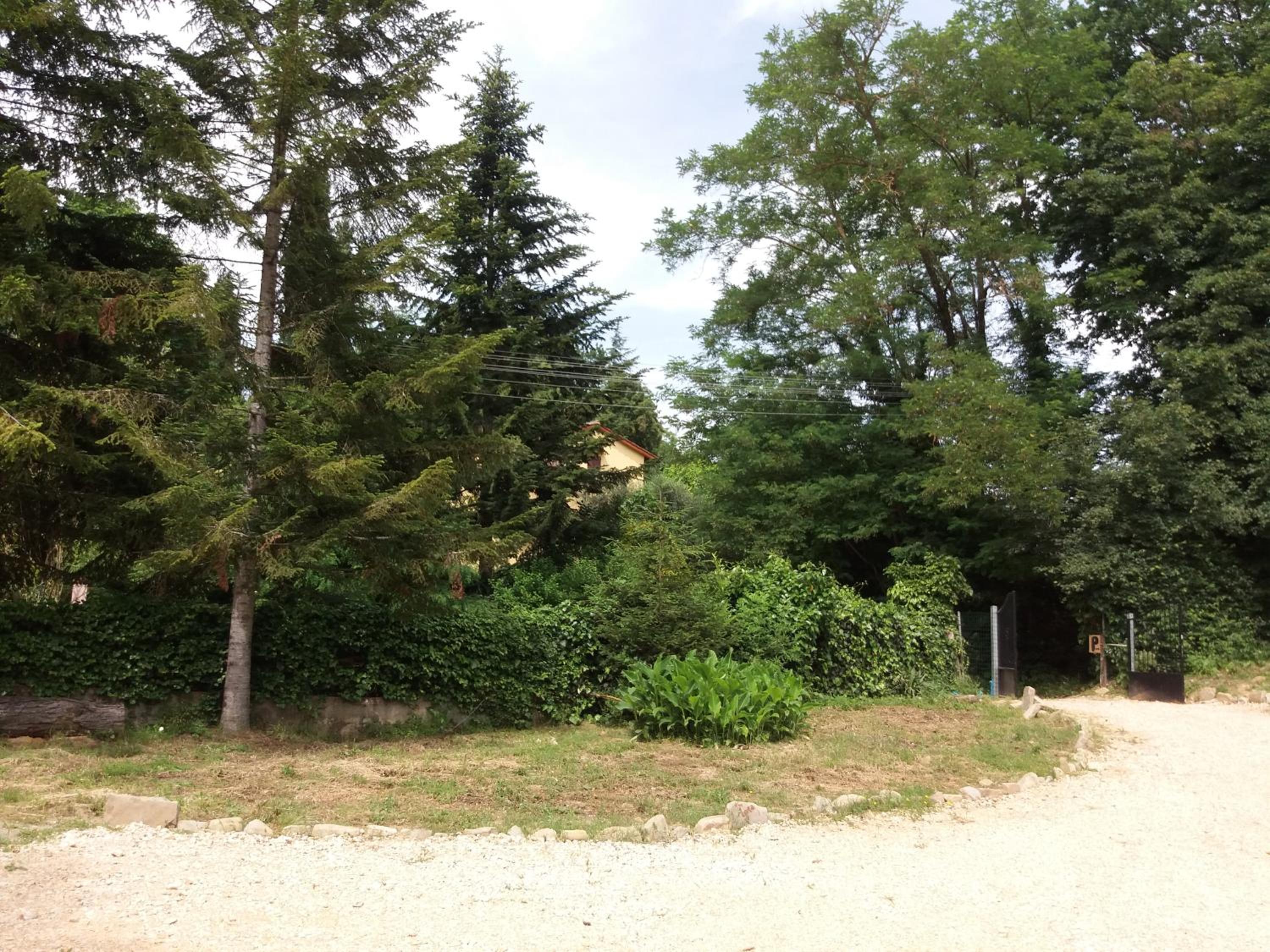 B&B Il Pittore