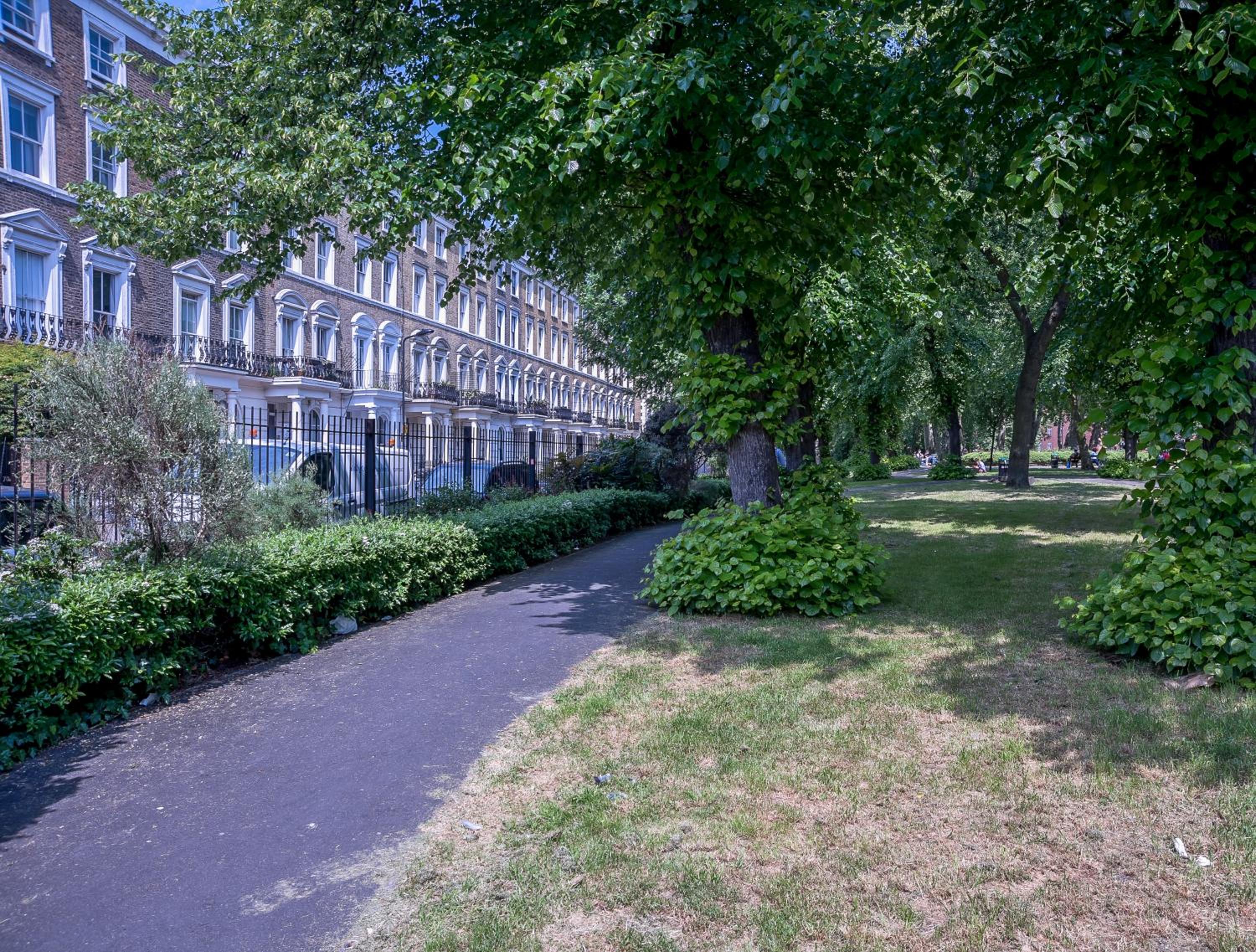 garden