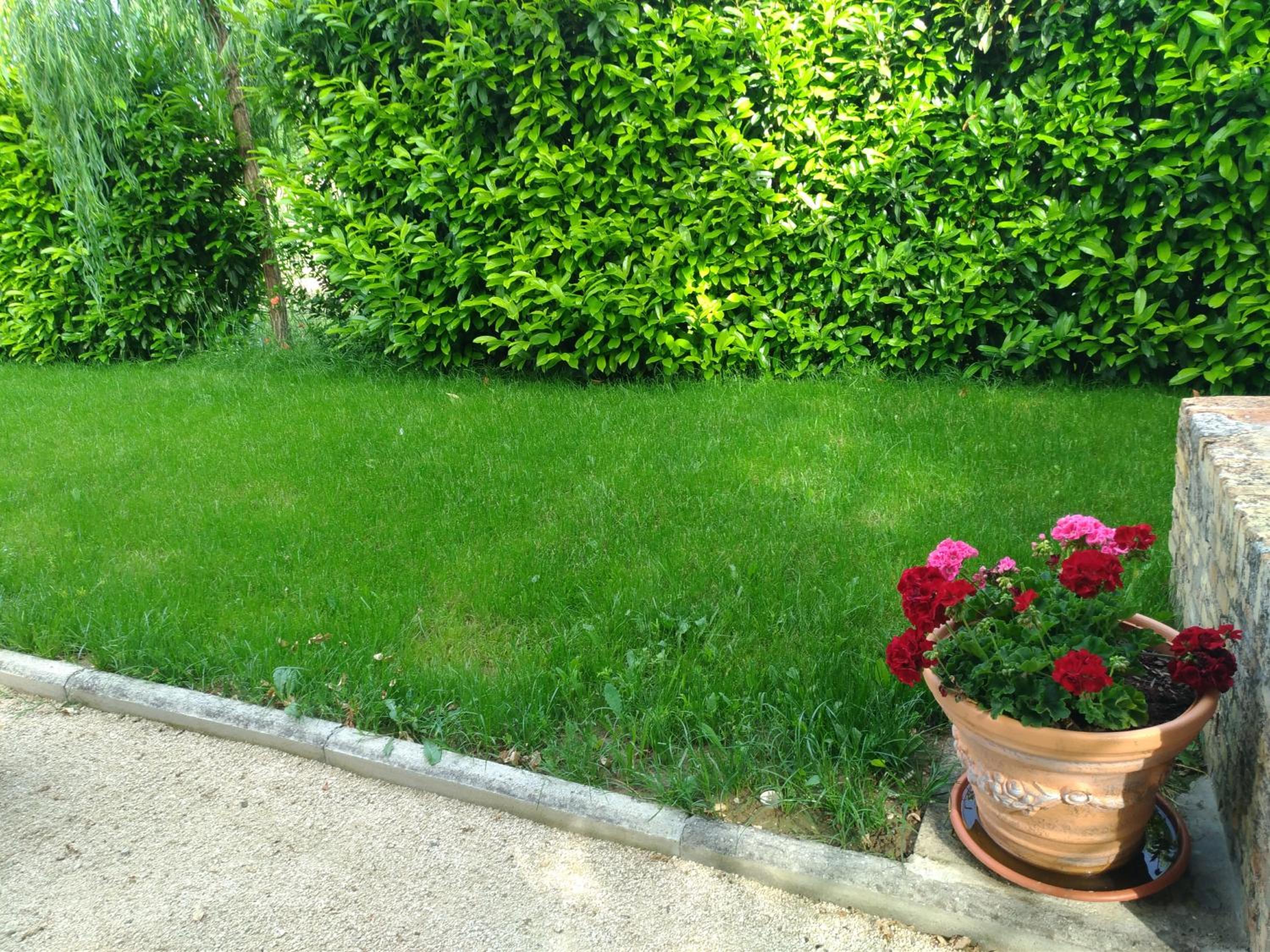 Photo 63