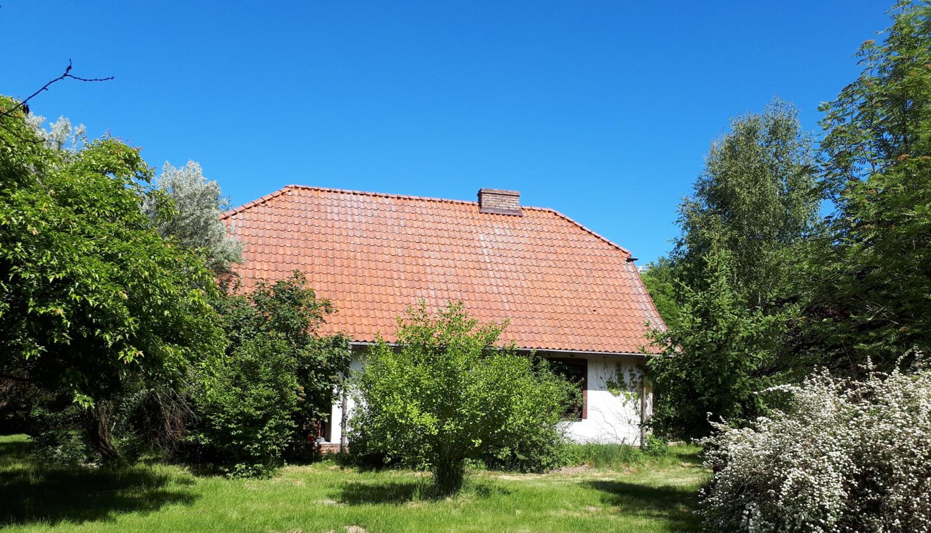 Photo 27
