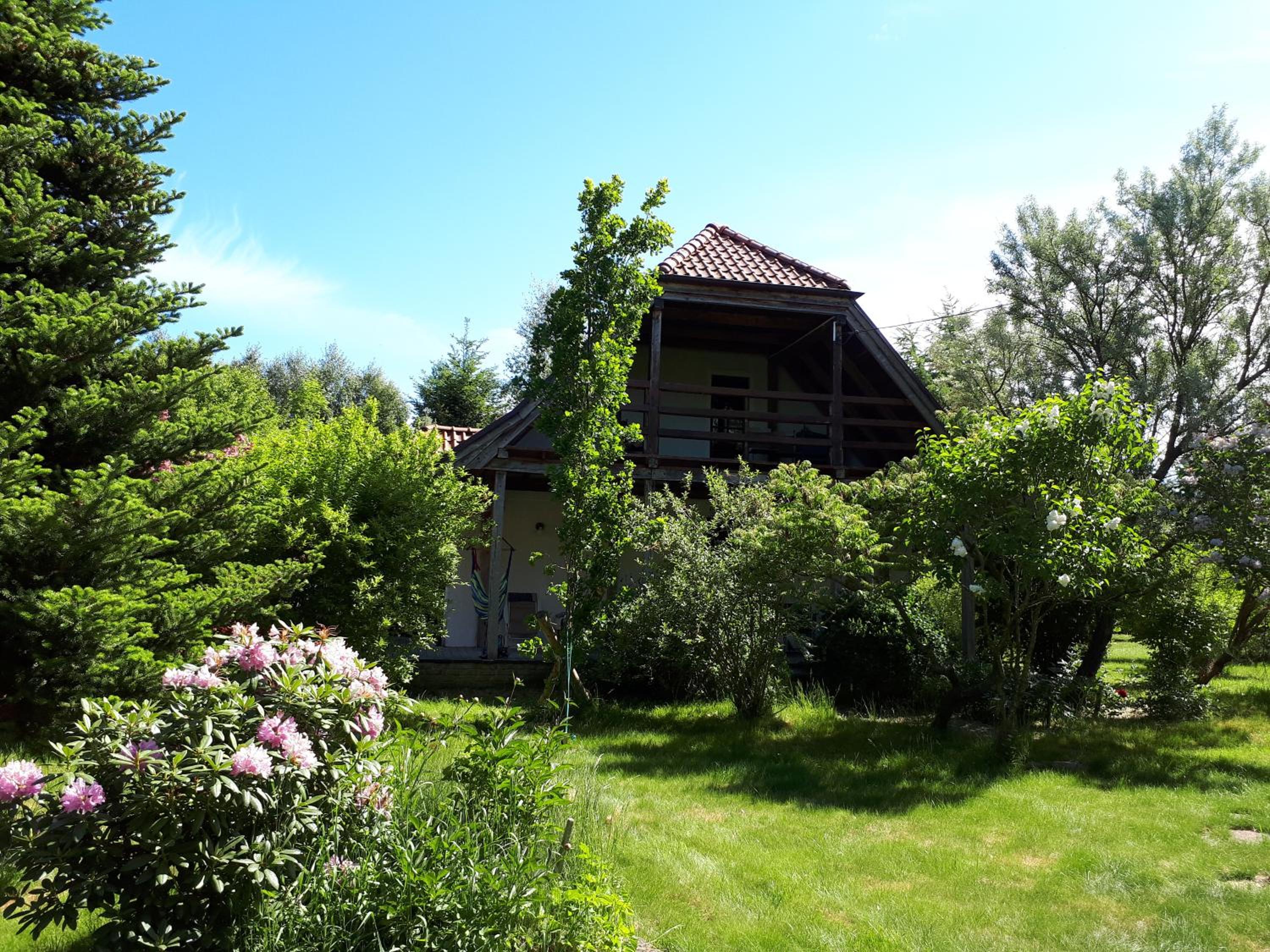 Photo 29