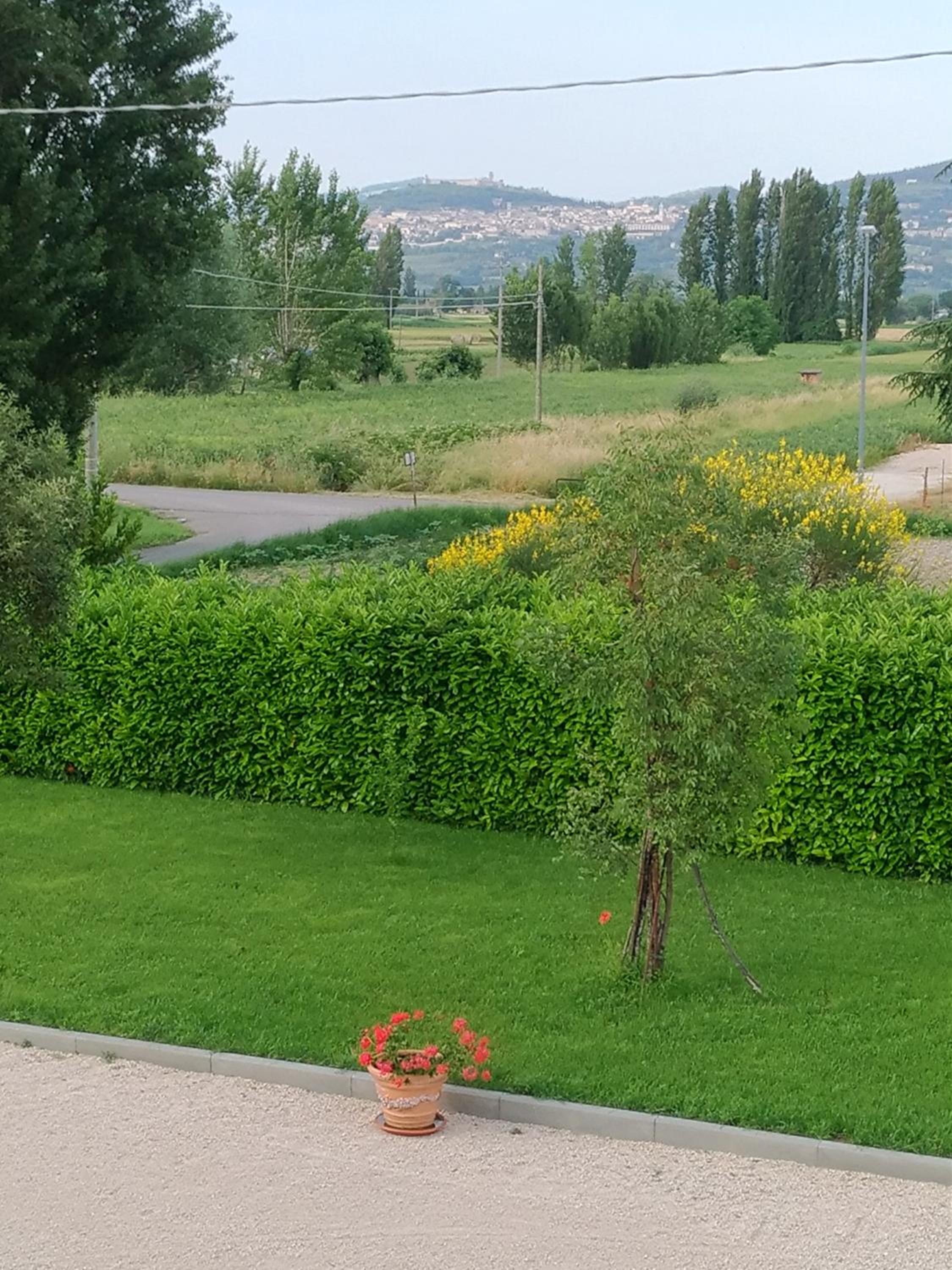 Photo 44