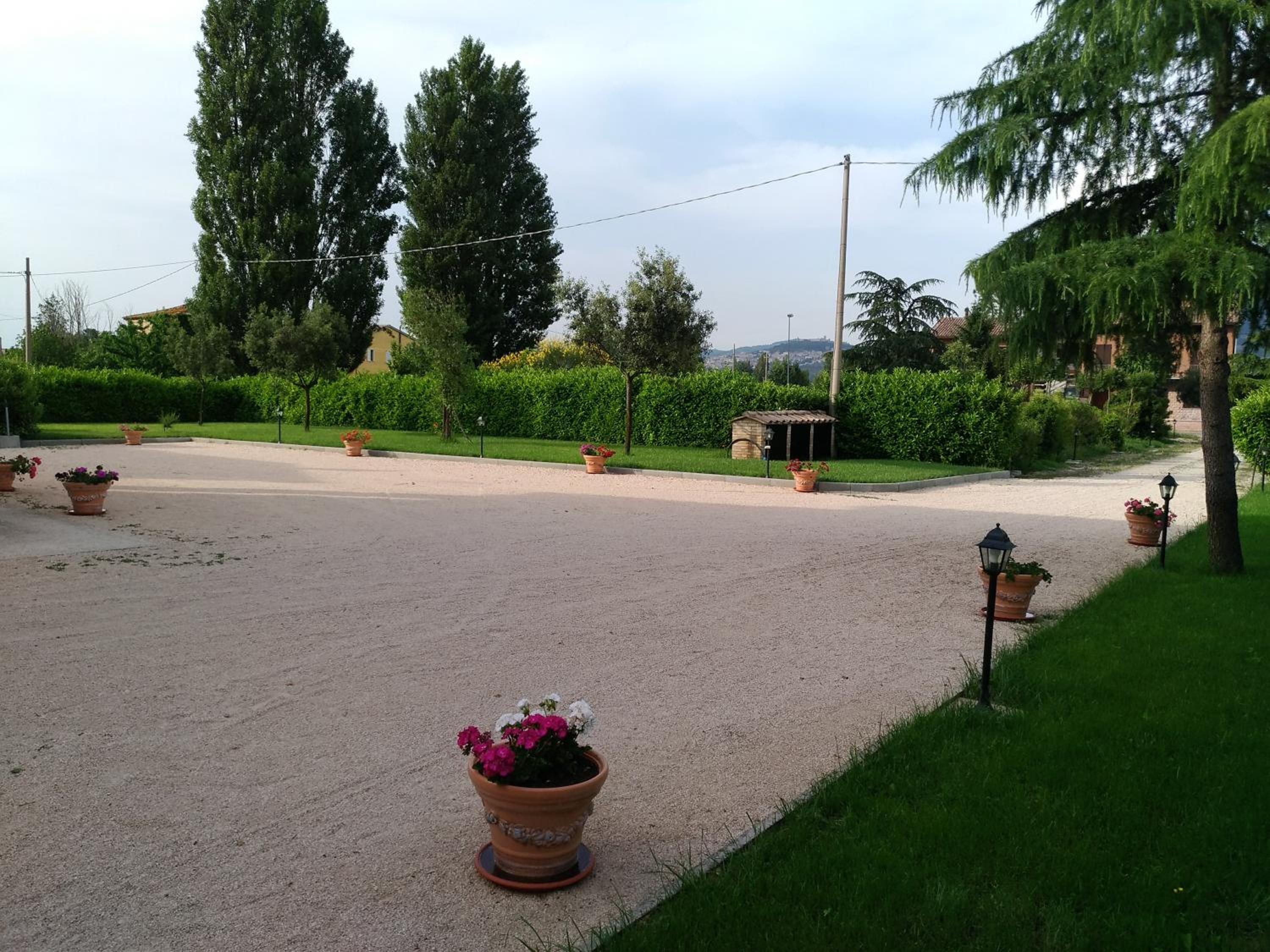 Photo 42