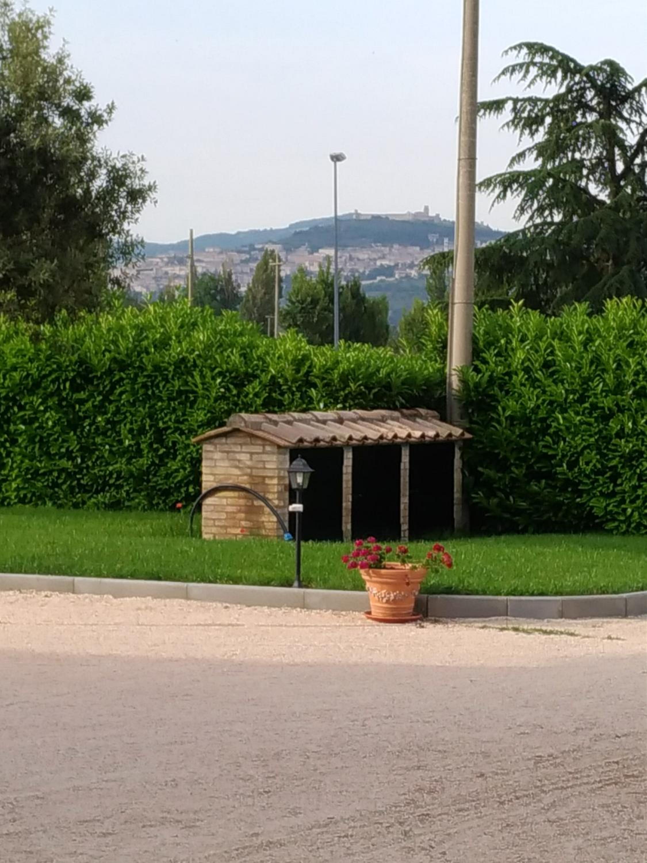 Photo 41