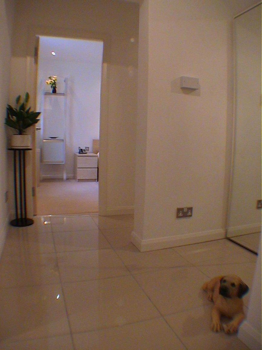 Photo 48