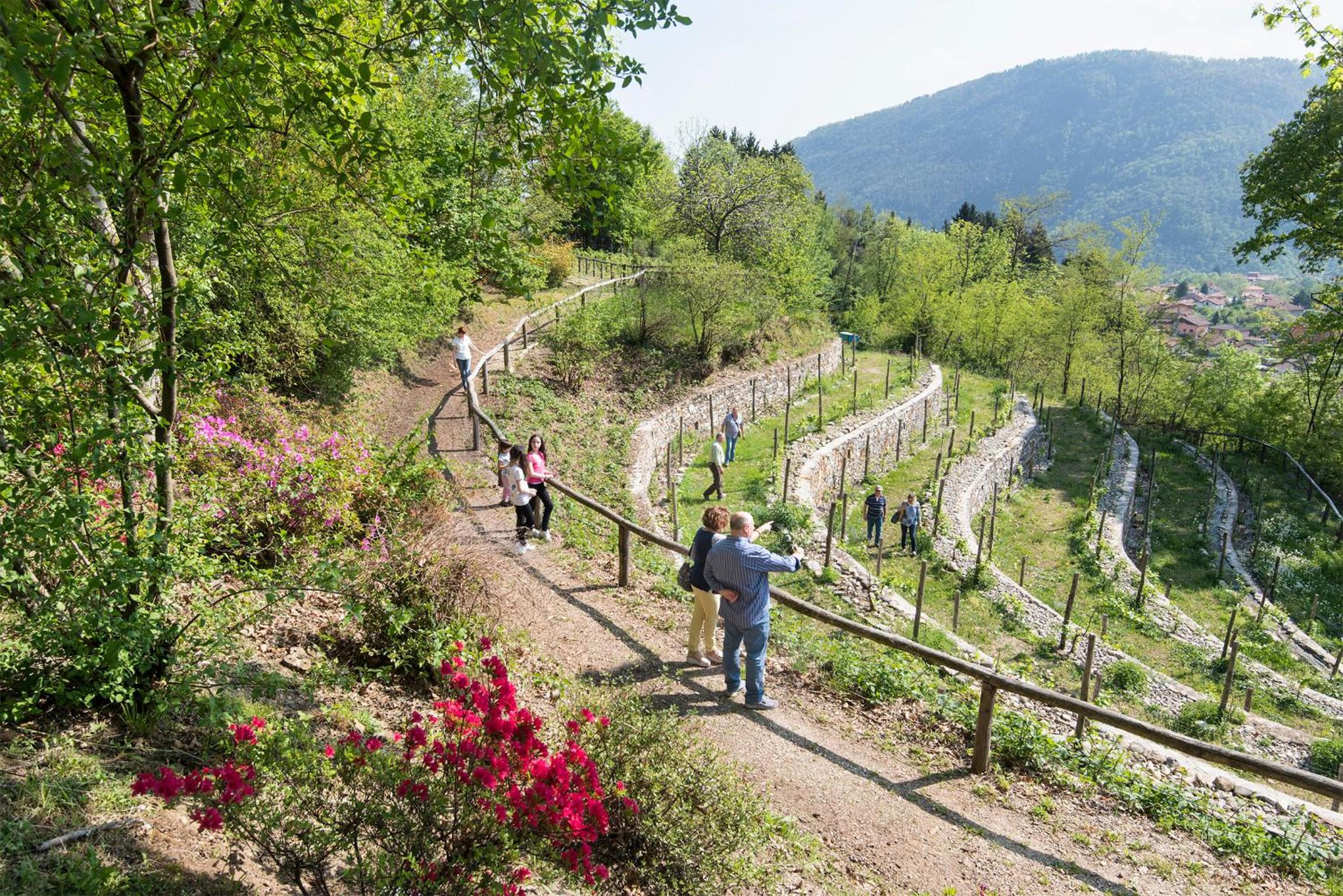 Agriturismo Al Motto