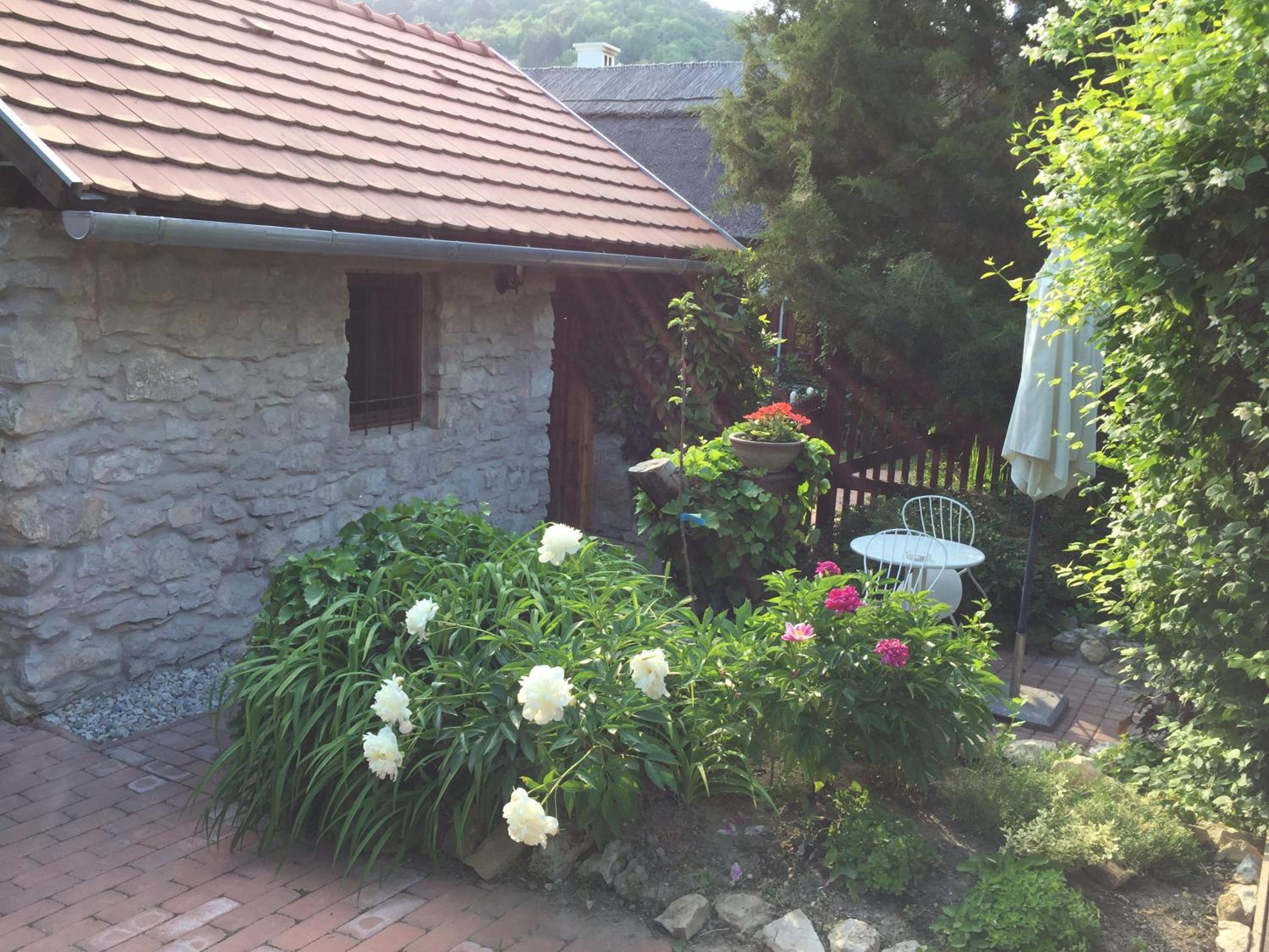 Photo 22