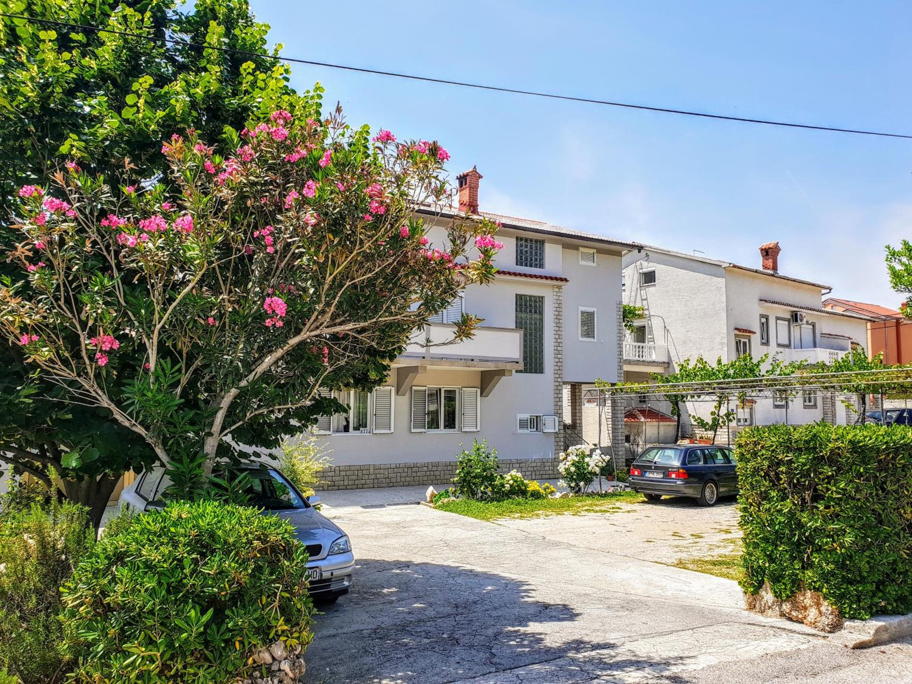 Photo 44