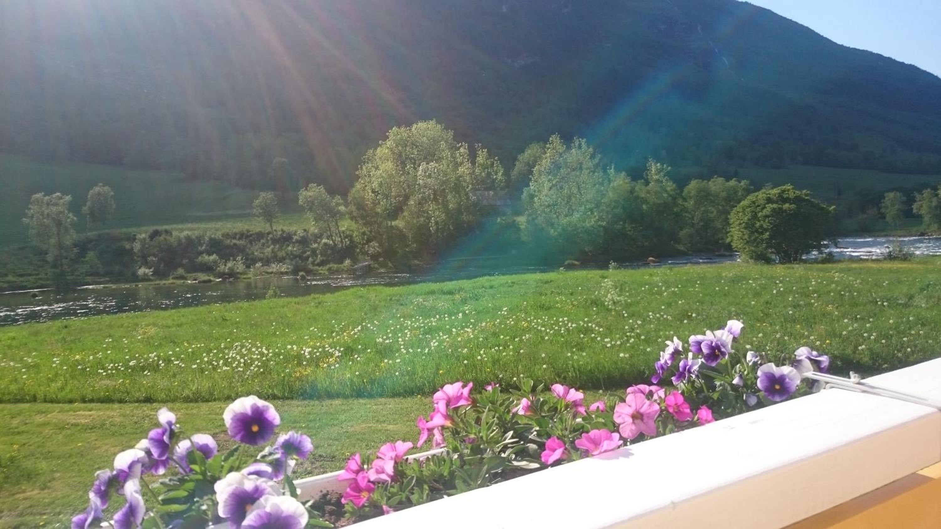 Naustvoll view 5