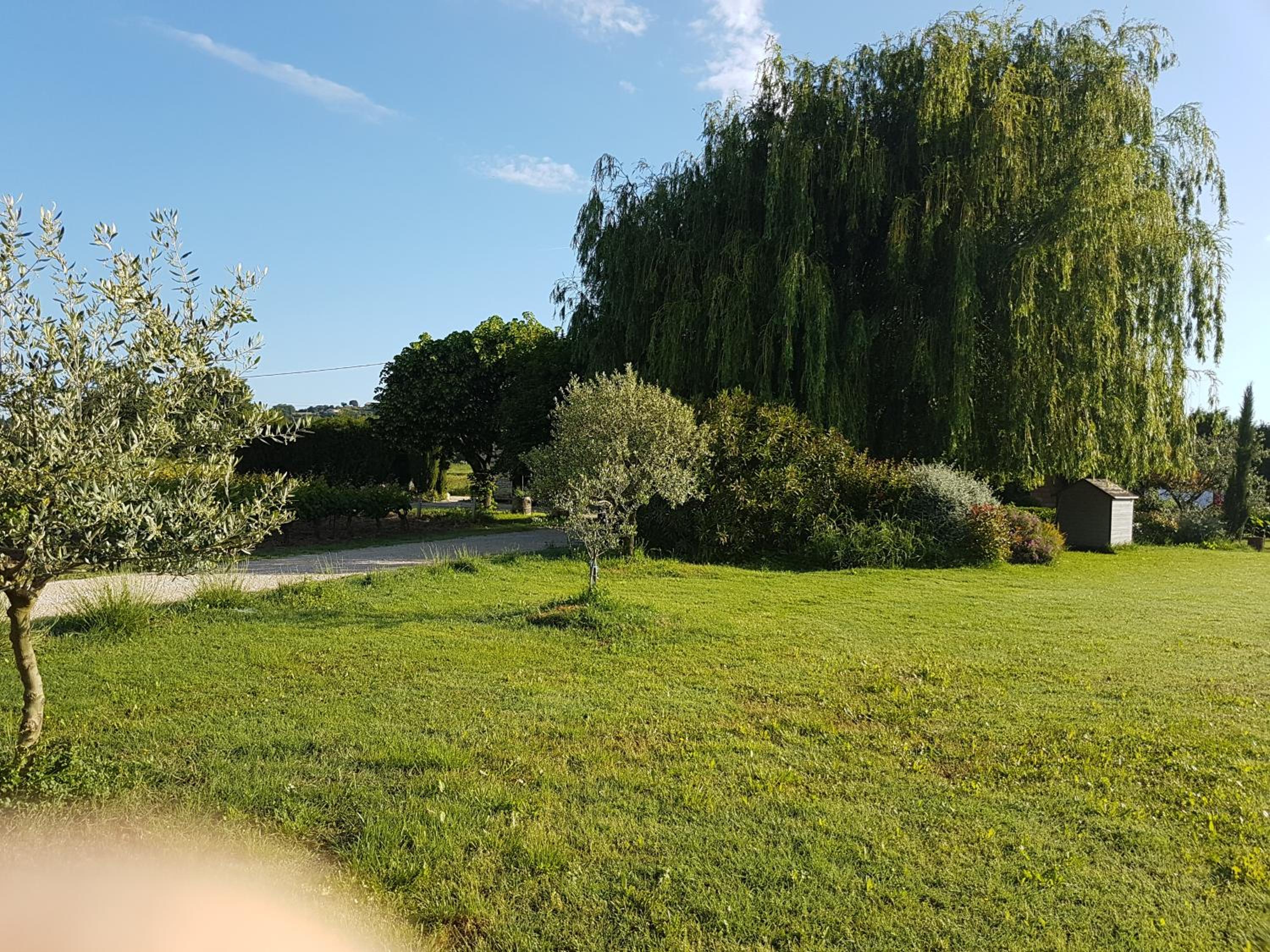 Photo 42