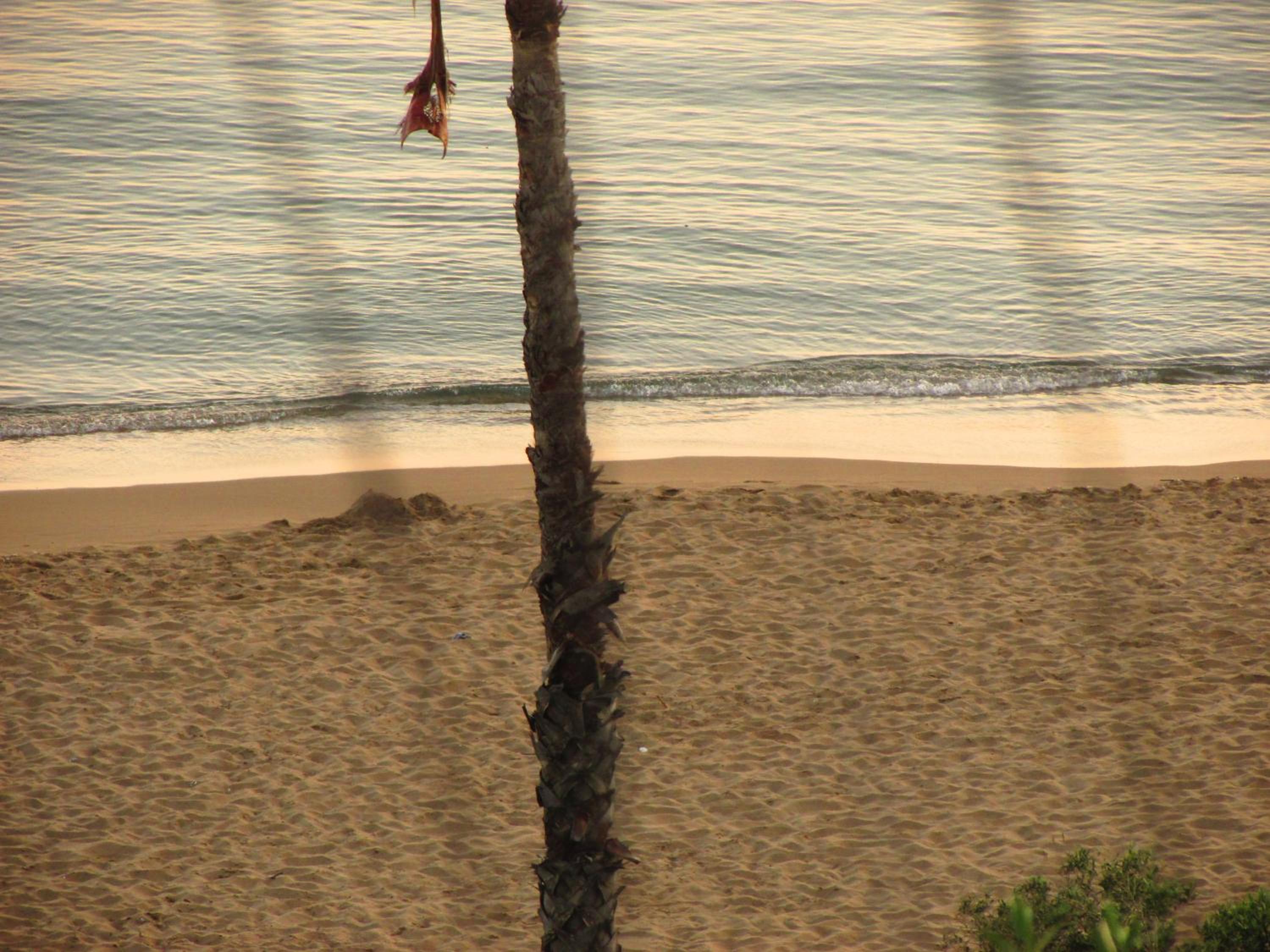 Kallopsia Home 105 Glifada Beach Corfu Menigos Resort by New Era view 3