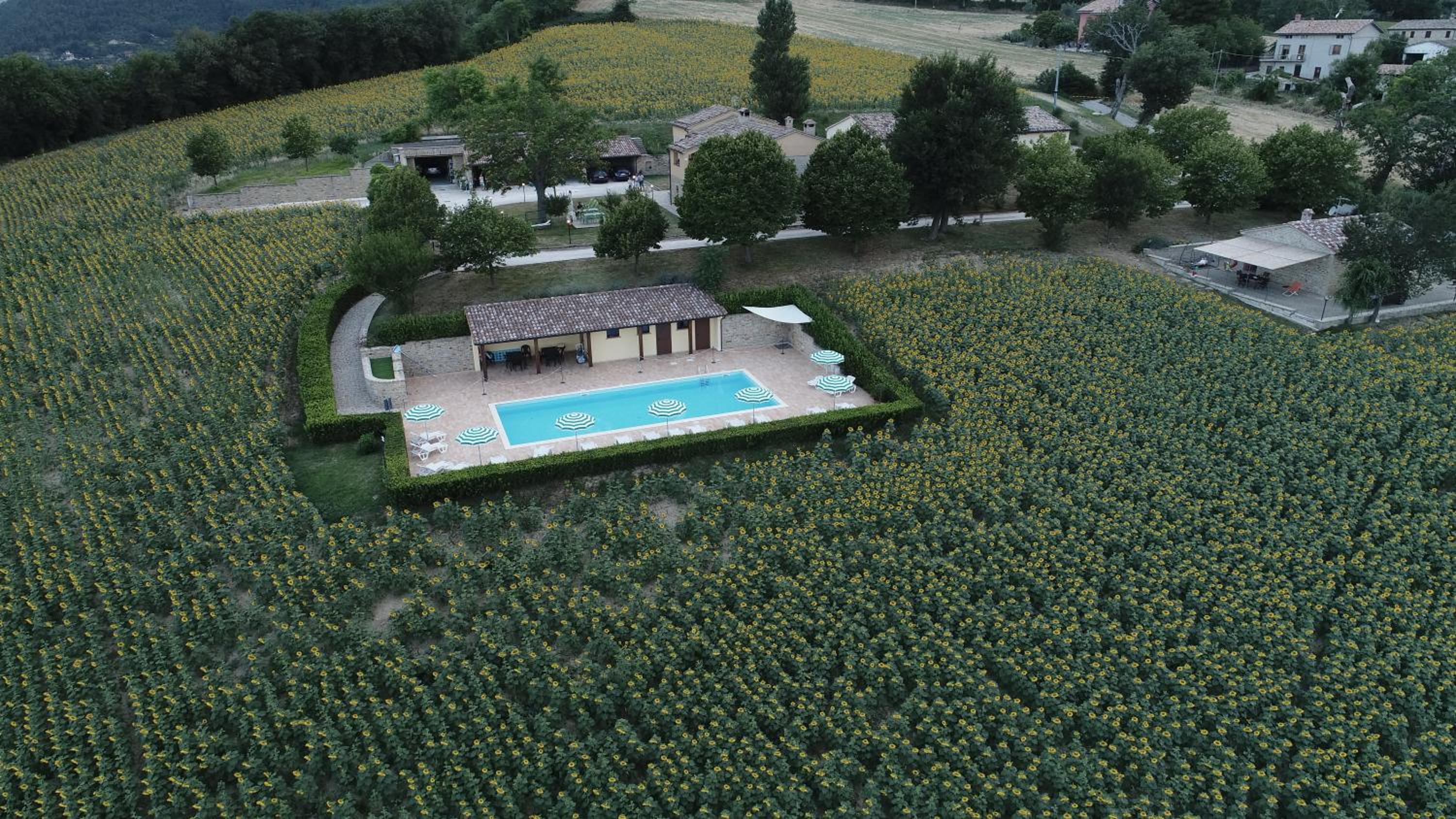 Le querce view 5