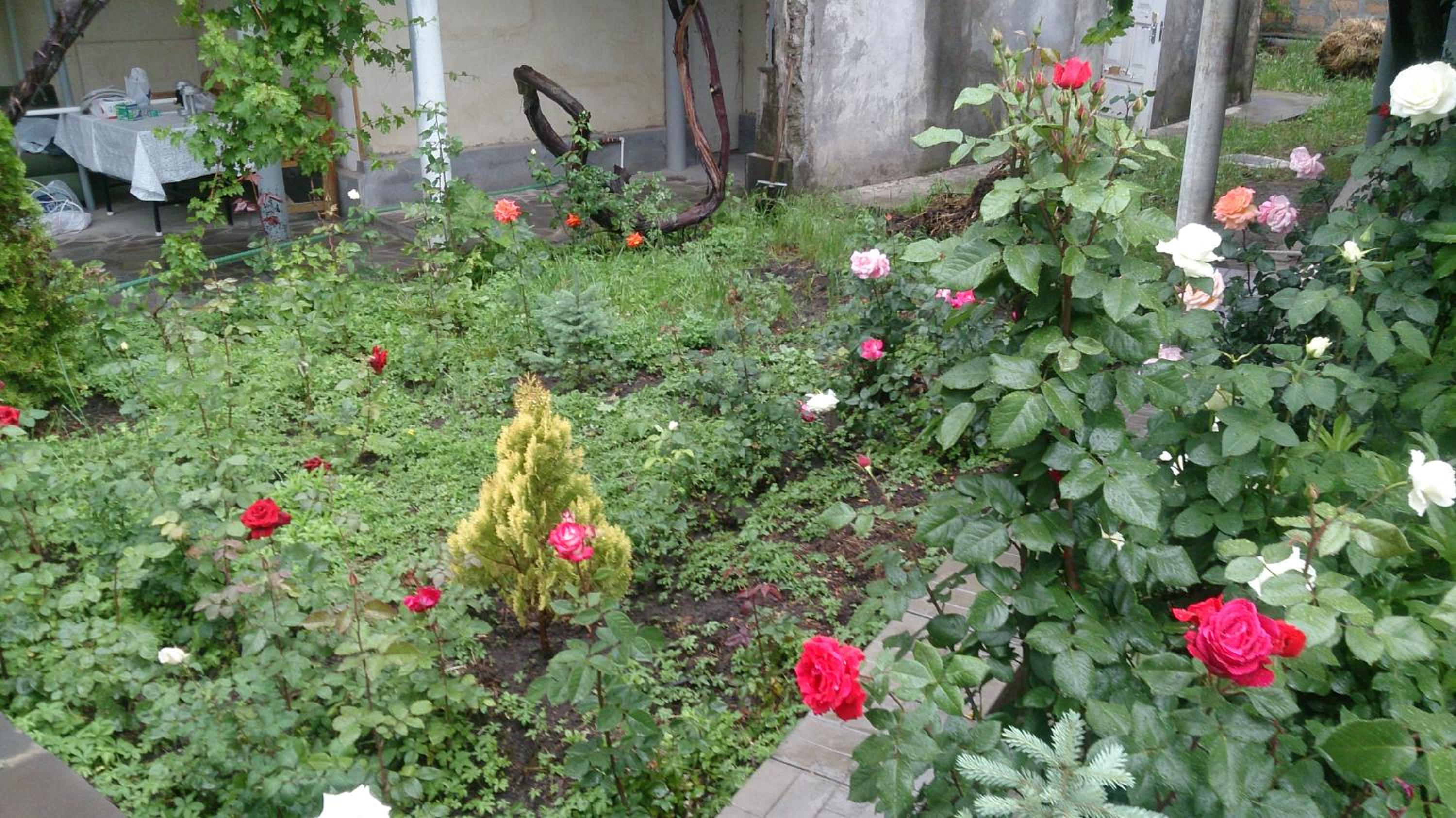 Guest house Hasmik
