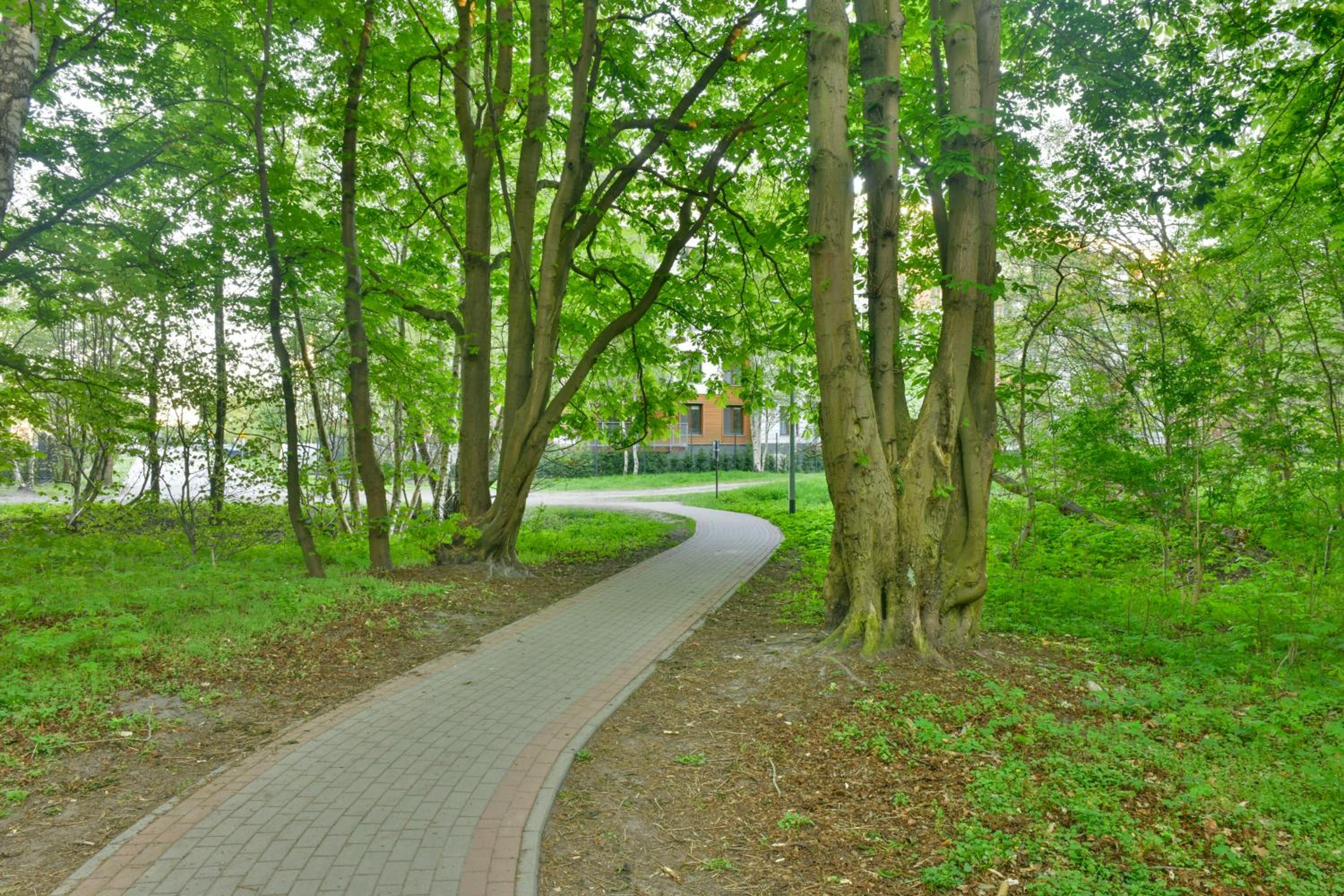 Park Design - Apartments M&M (Polanki Park)