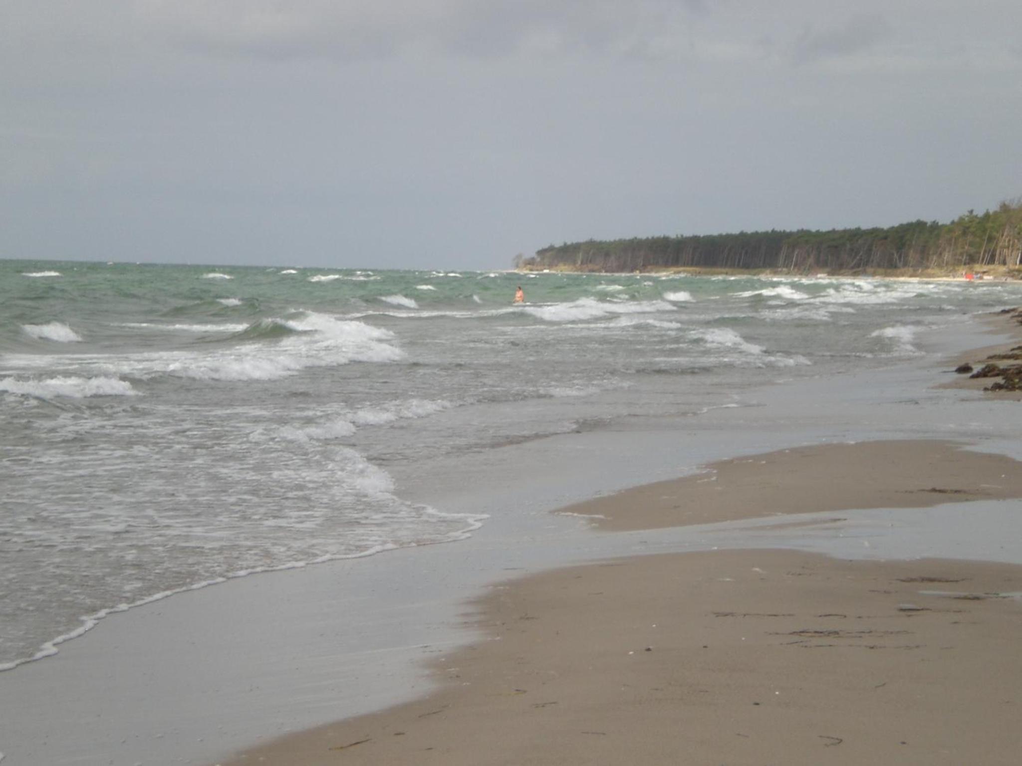 Photo 24