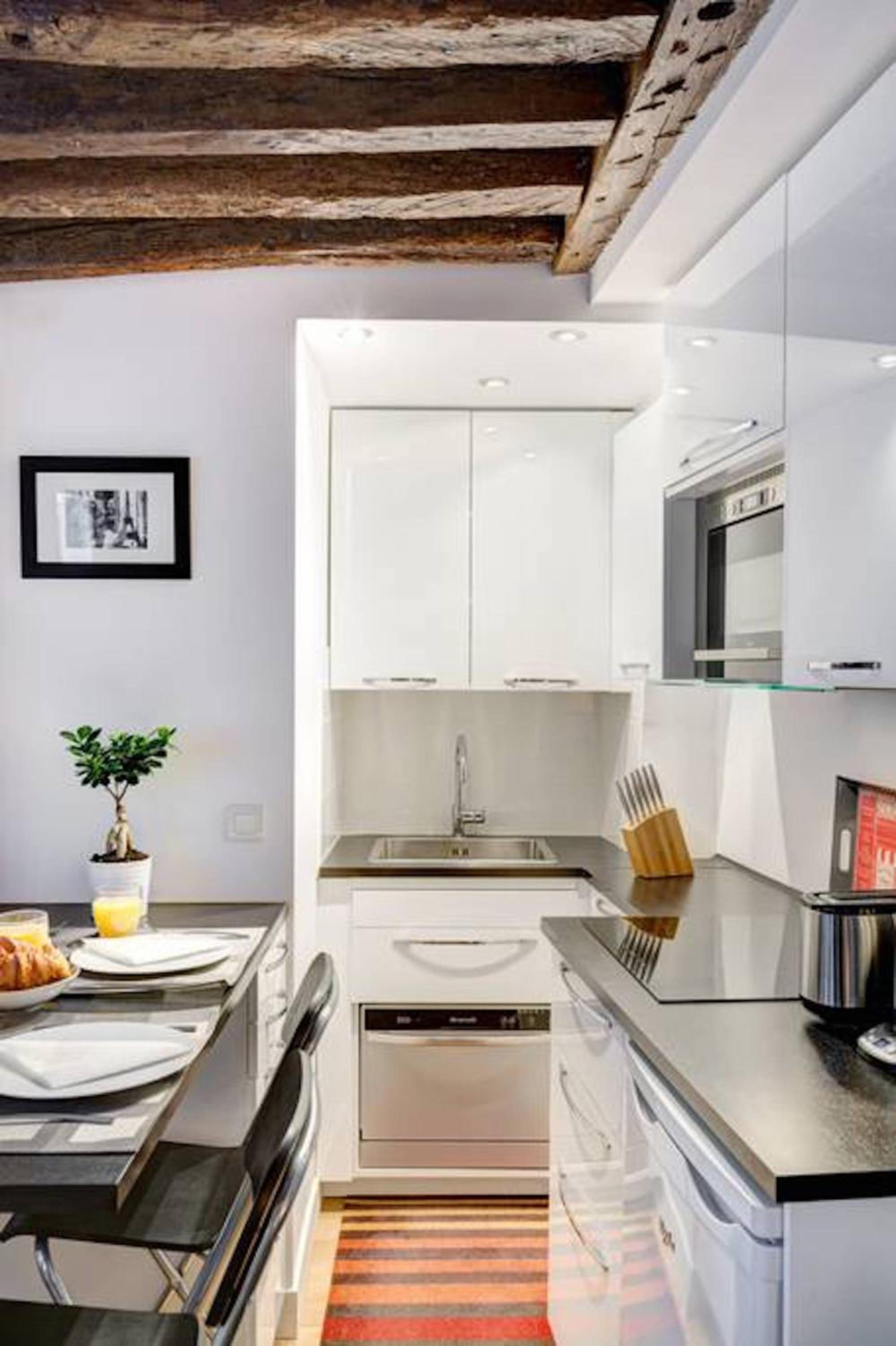 Historic Paris Apartment Steps from Notre Dame and Louvre - Limited Offer
