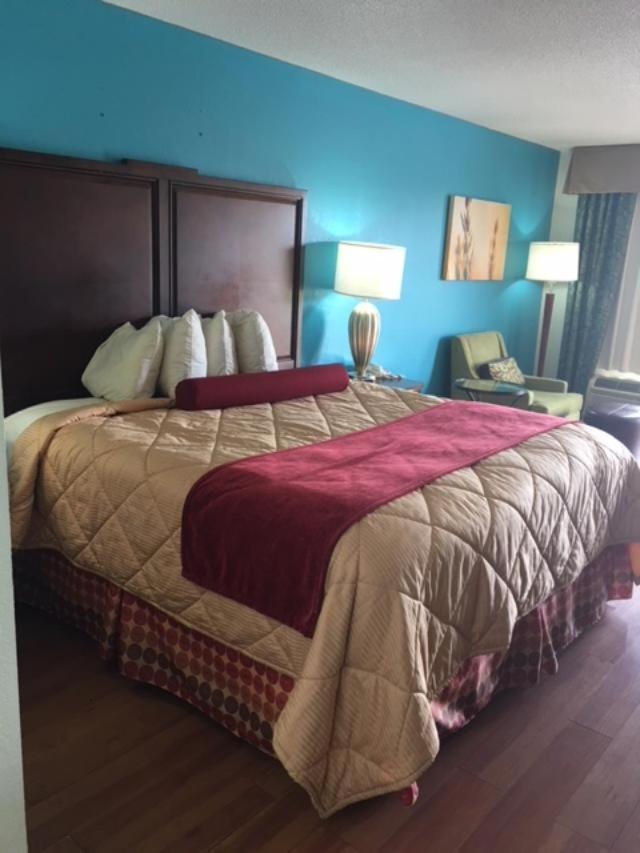 Royal Inn - Property Image 34