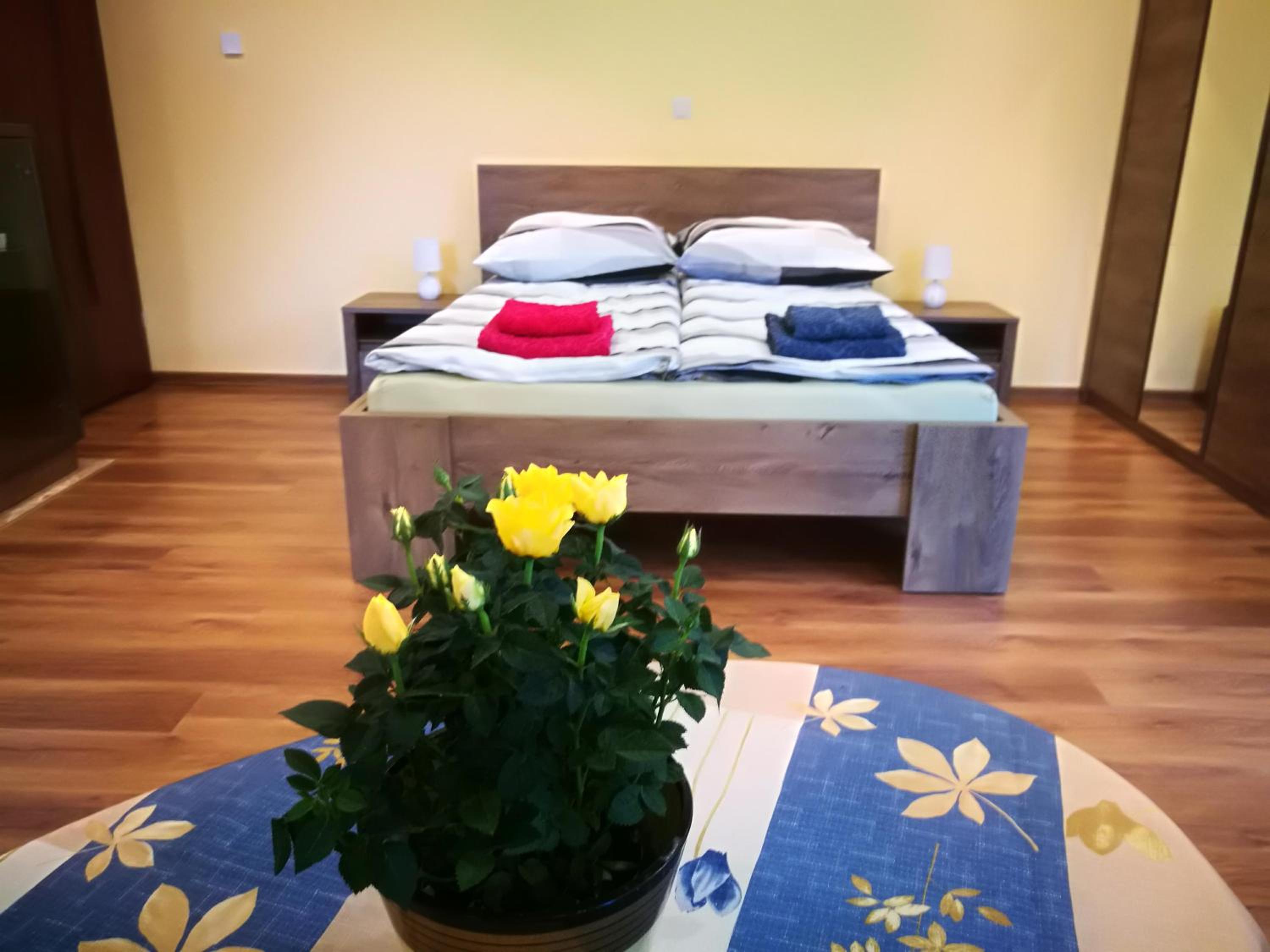 Apartament u Joli, photo 29