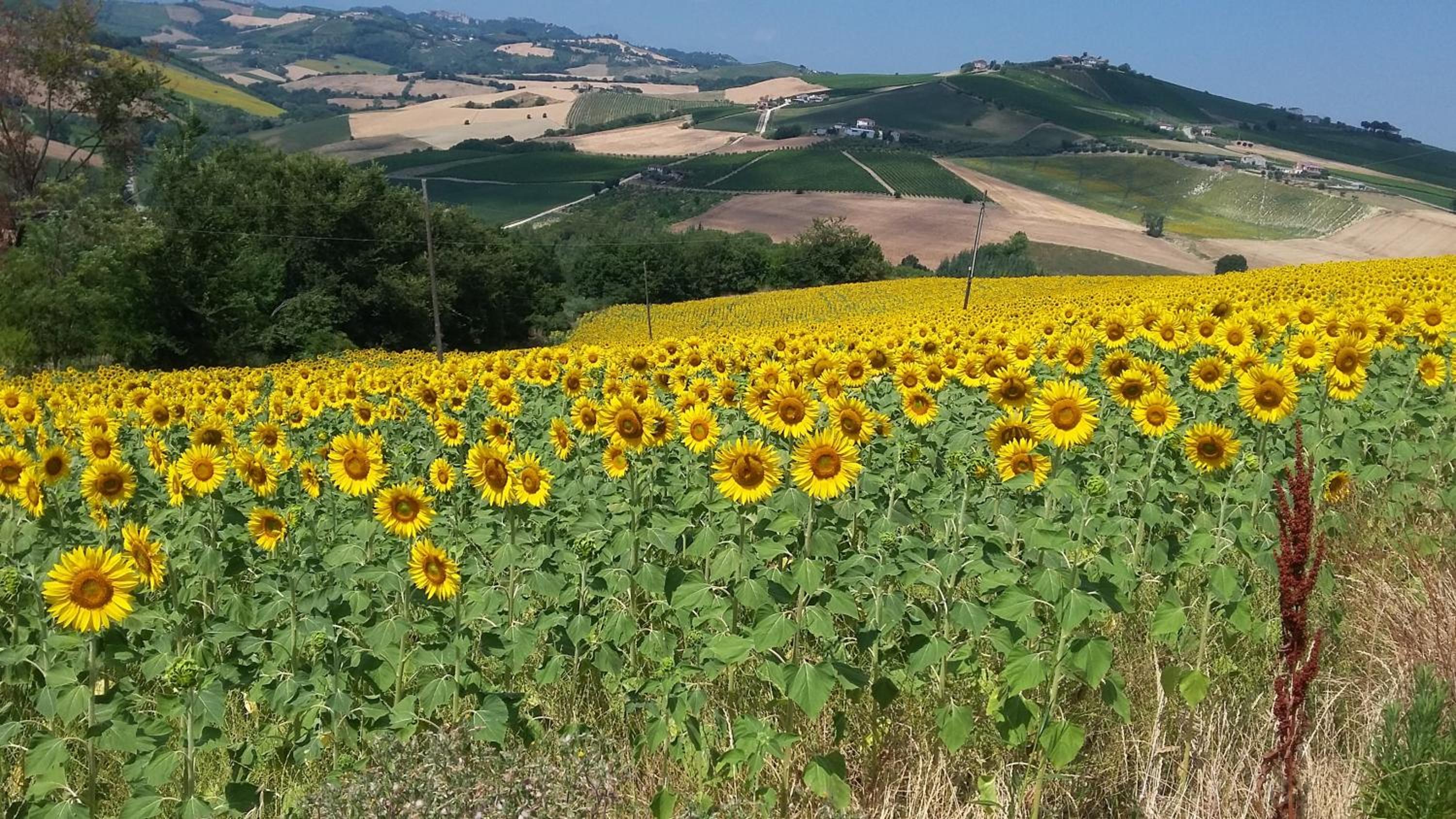 C'era Una Volta