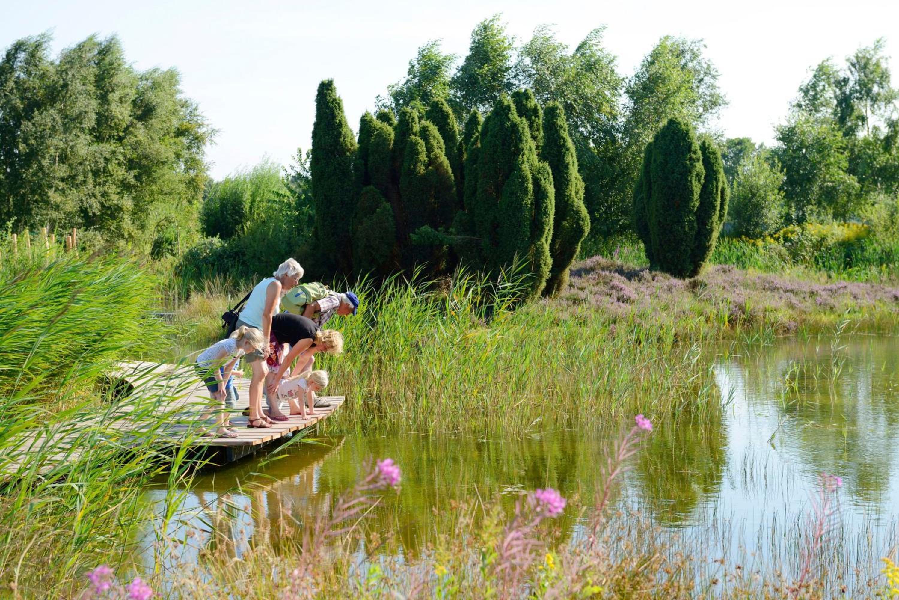 RCN Vakantiepark de Noordster