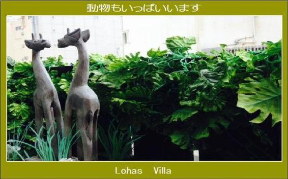 Lohas Villa